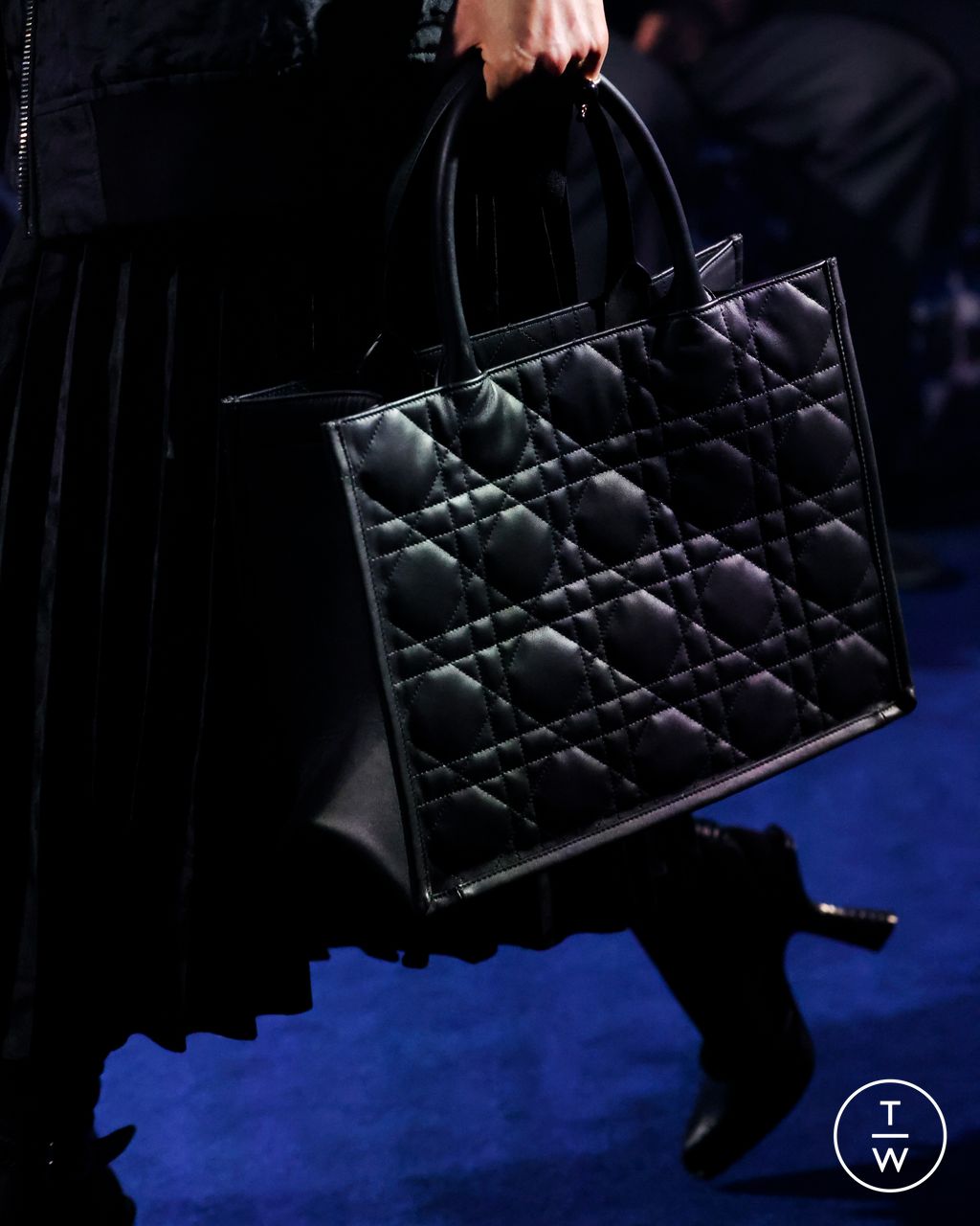 Fashion Week Paris Fall/Winter 2023 look 12 de la collection Christian Dior womenswear accessories