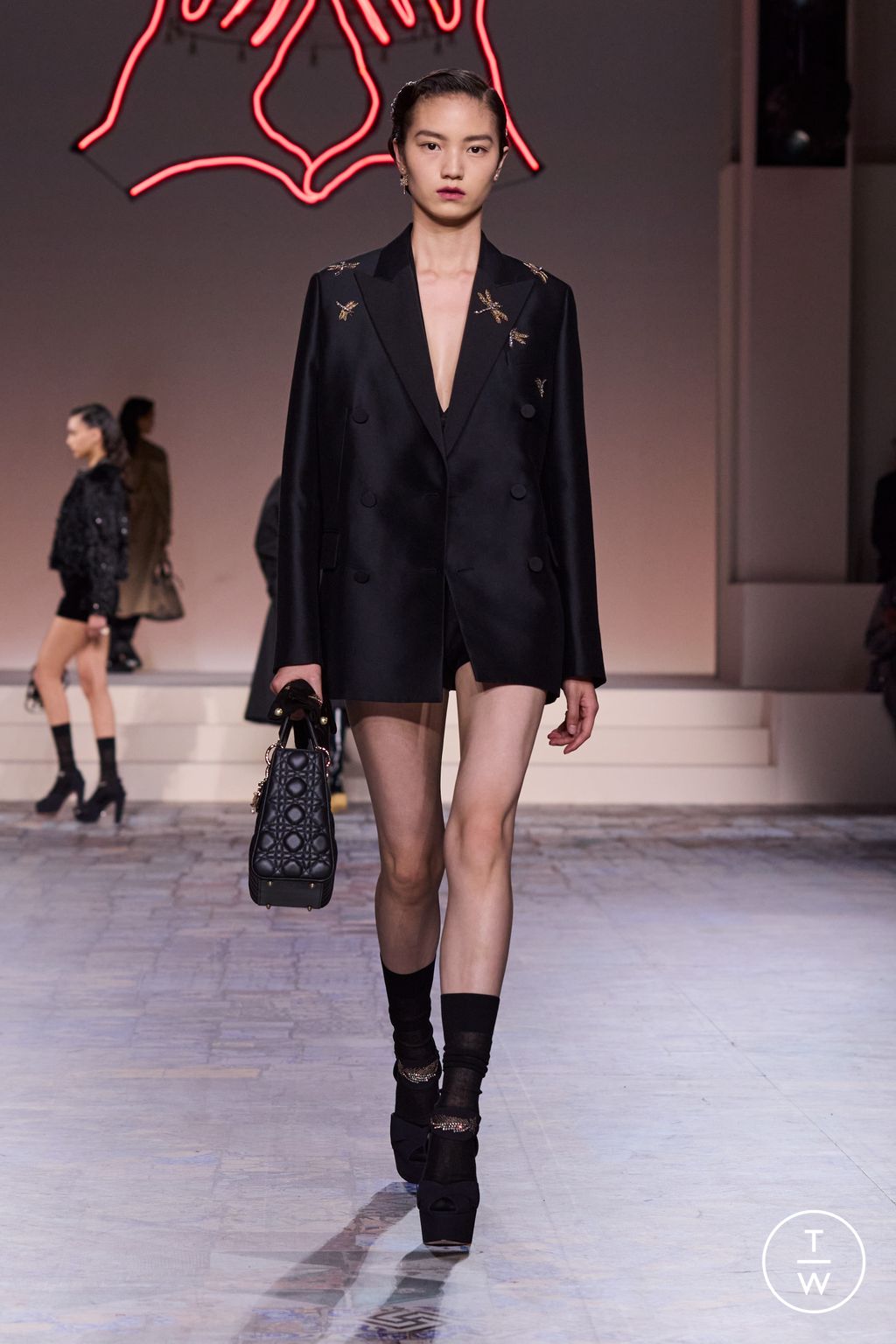 Fashion Week Paris Pre-Fall 2024 look 12 de la collection Christian Dior womenswear