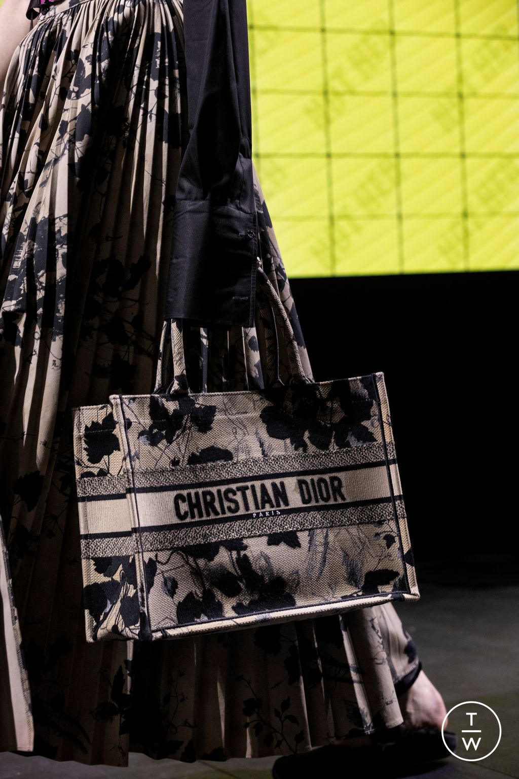 Fashion Week Paris Spring/Summer 2024 look 6 de la collection Christian Dior womenswear accessories