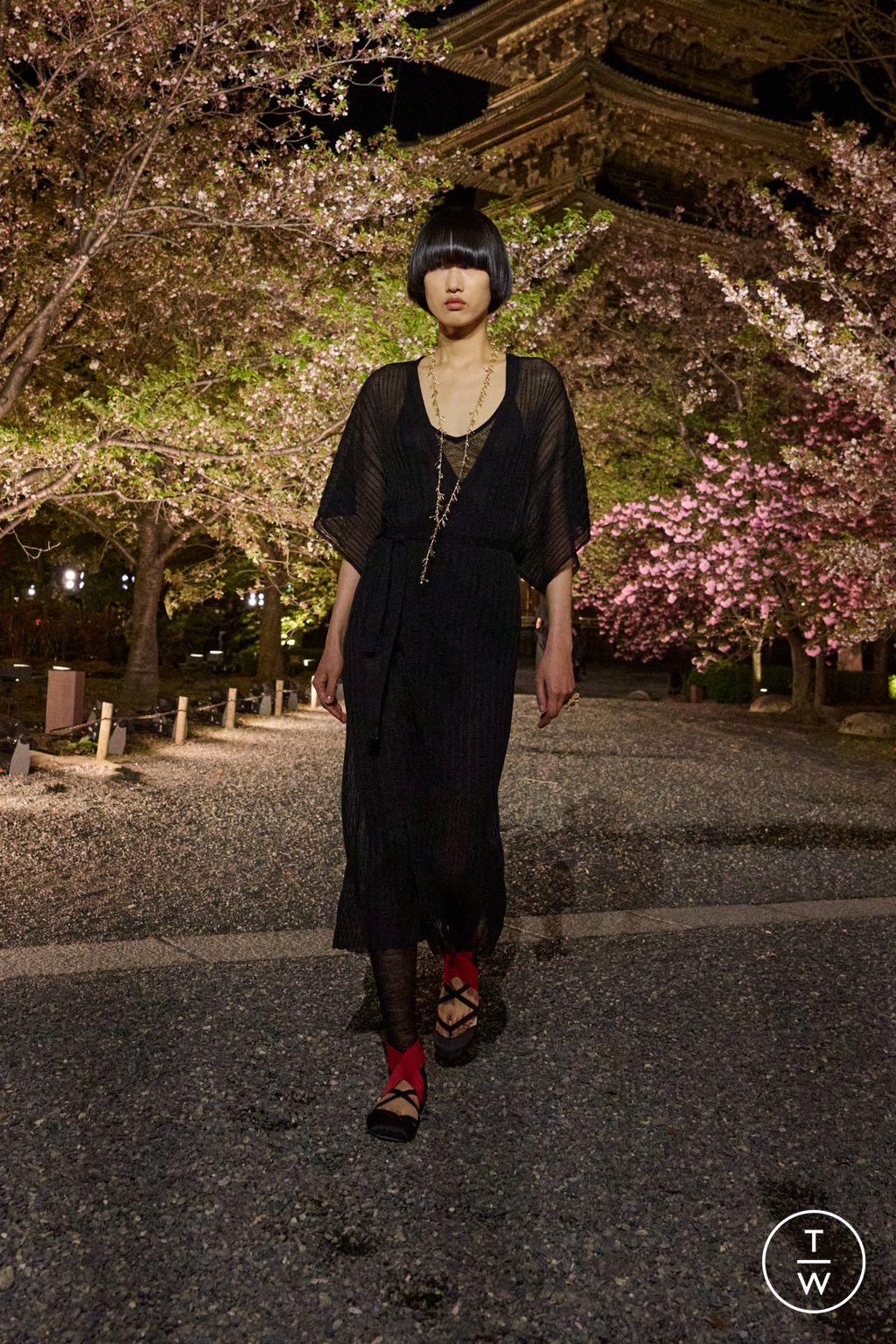 Fashion Week Paris Pre-Fall 2025 look 2 from the Dior collection womenswear