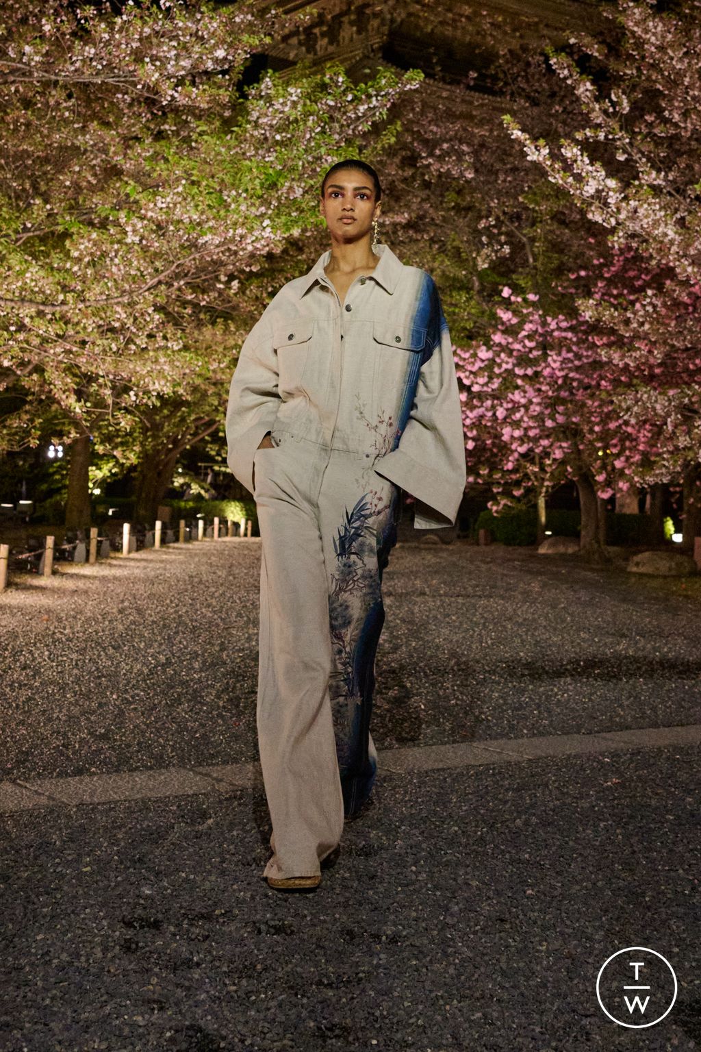 Fashion Week Paris Pre-Fall 2025 look 12 from the Dior collection womenswear