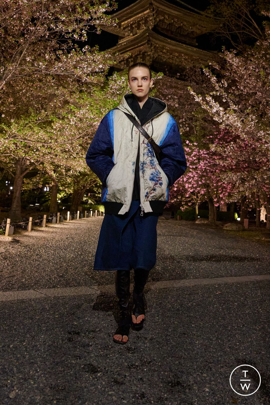 Fashion Week Paris Pre-Fall 2025 look 13 from the Dior collection womenswear