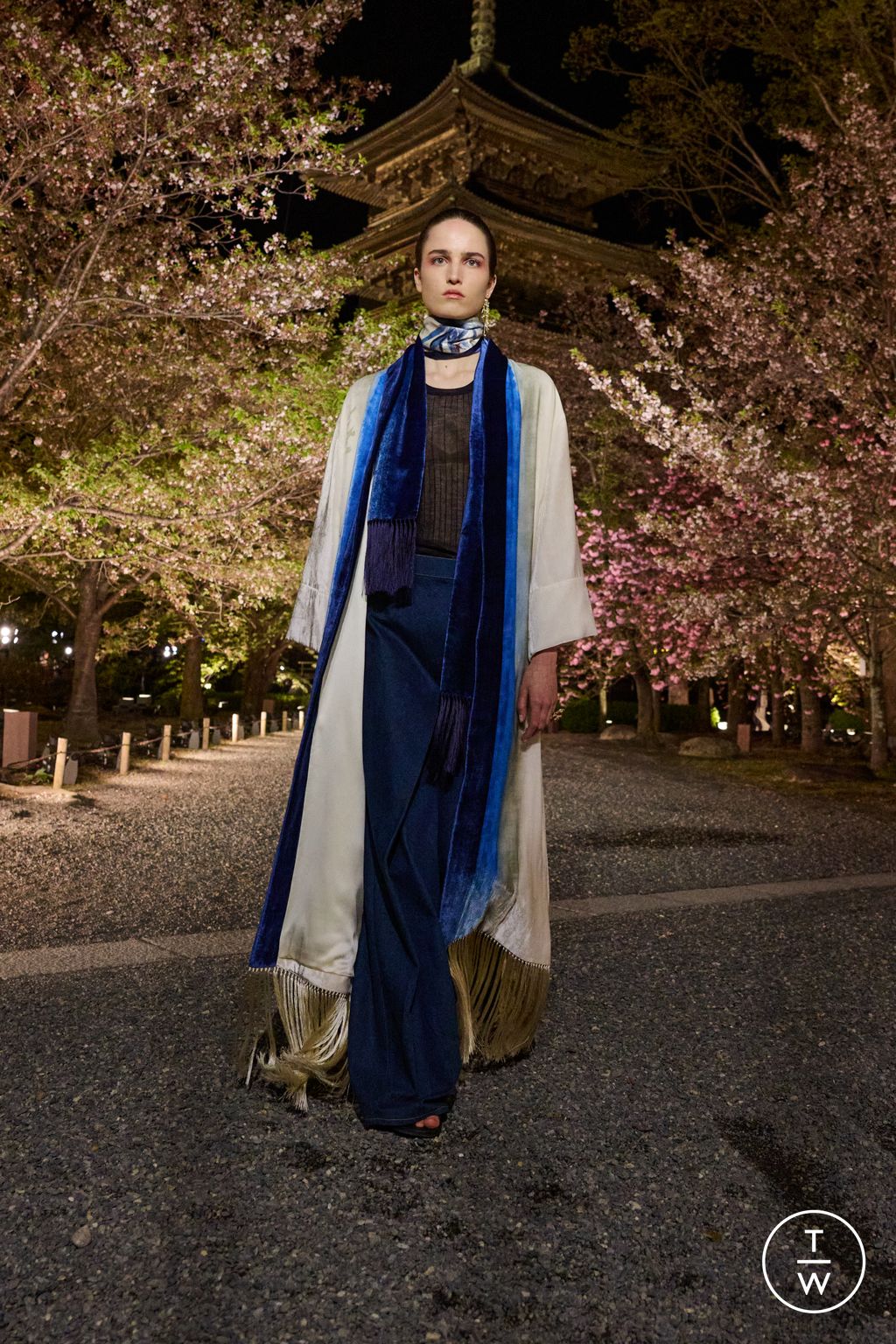 Fashion Week Paris Pre-Fall 2025 look 14 from the Dior collection womenswear