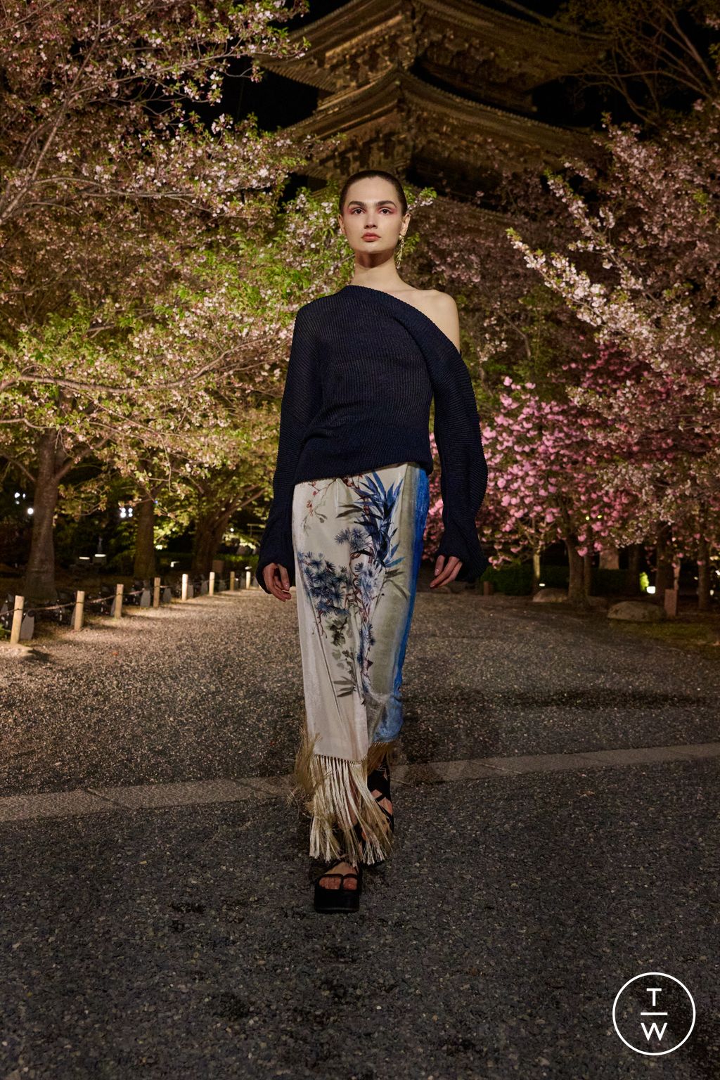 Fashion Week Paris Pre-Fall 2025 look 15 from the Dior collection womenswear