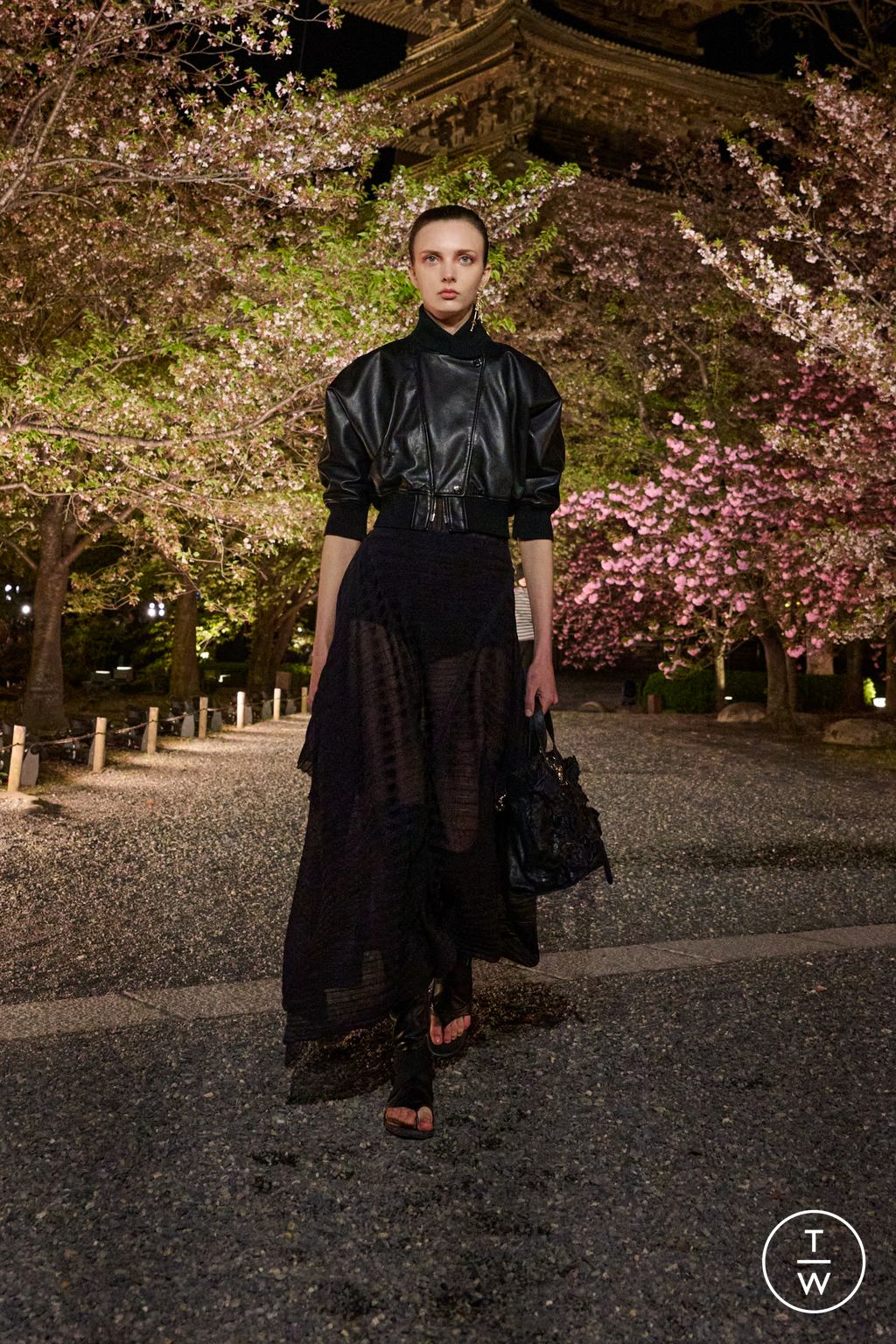 Fashion Week Paris Pre-Fall 2025 look 20 from the Dior collection womenswear