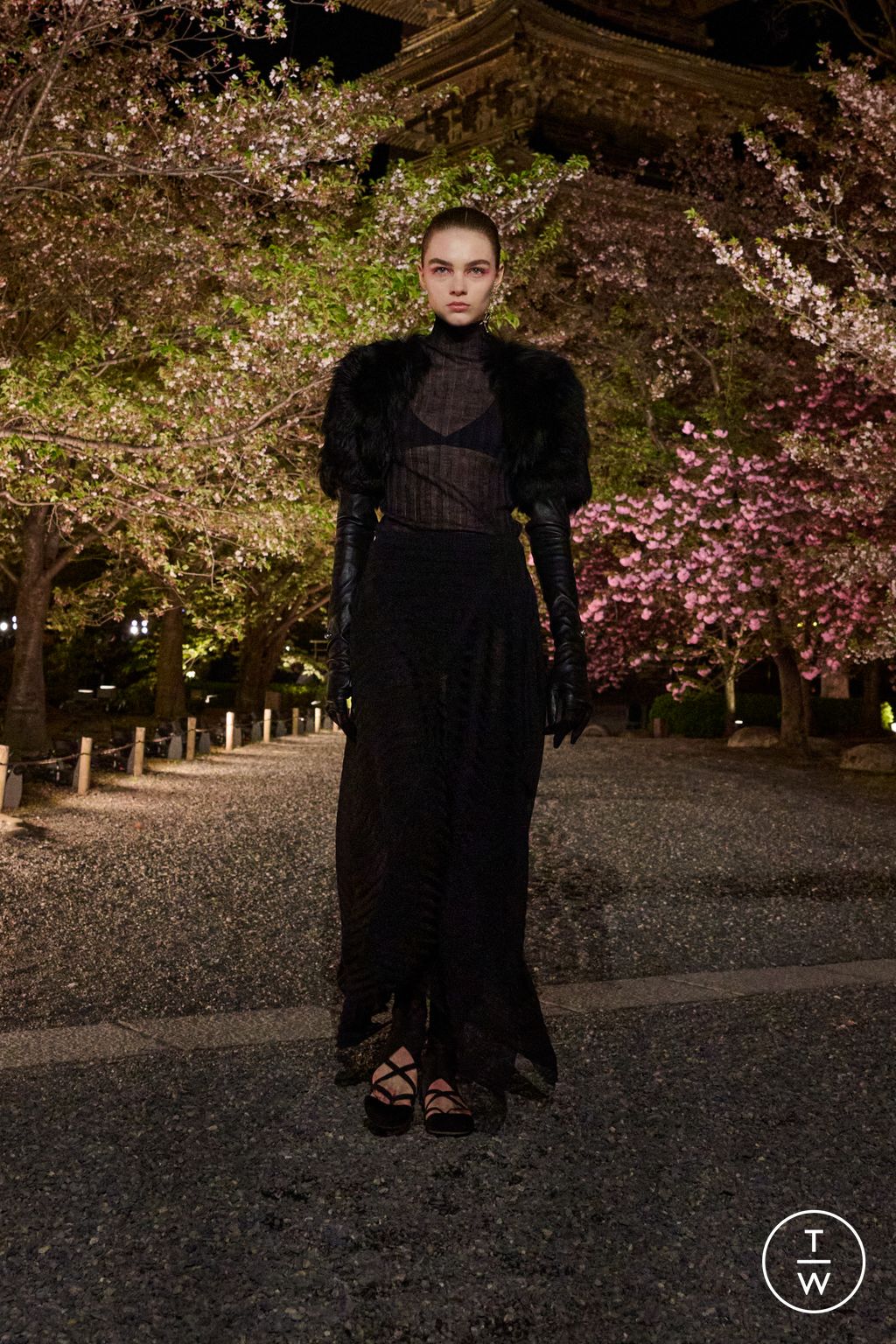 Fashion Week Paris Pre-Fall 2025 look 31 from the Dior collection womenswear