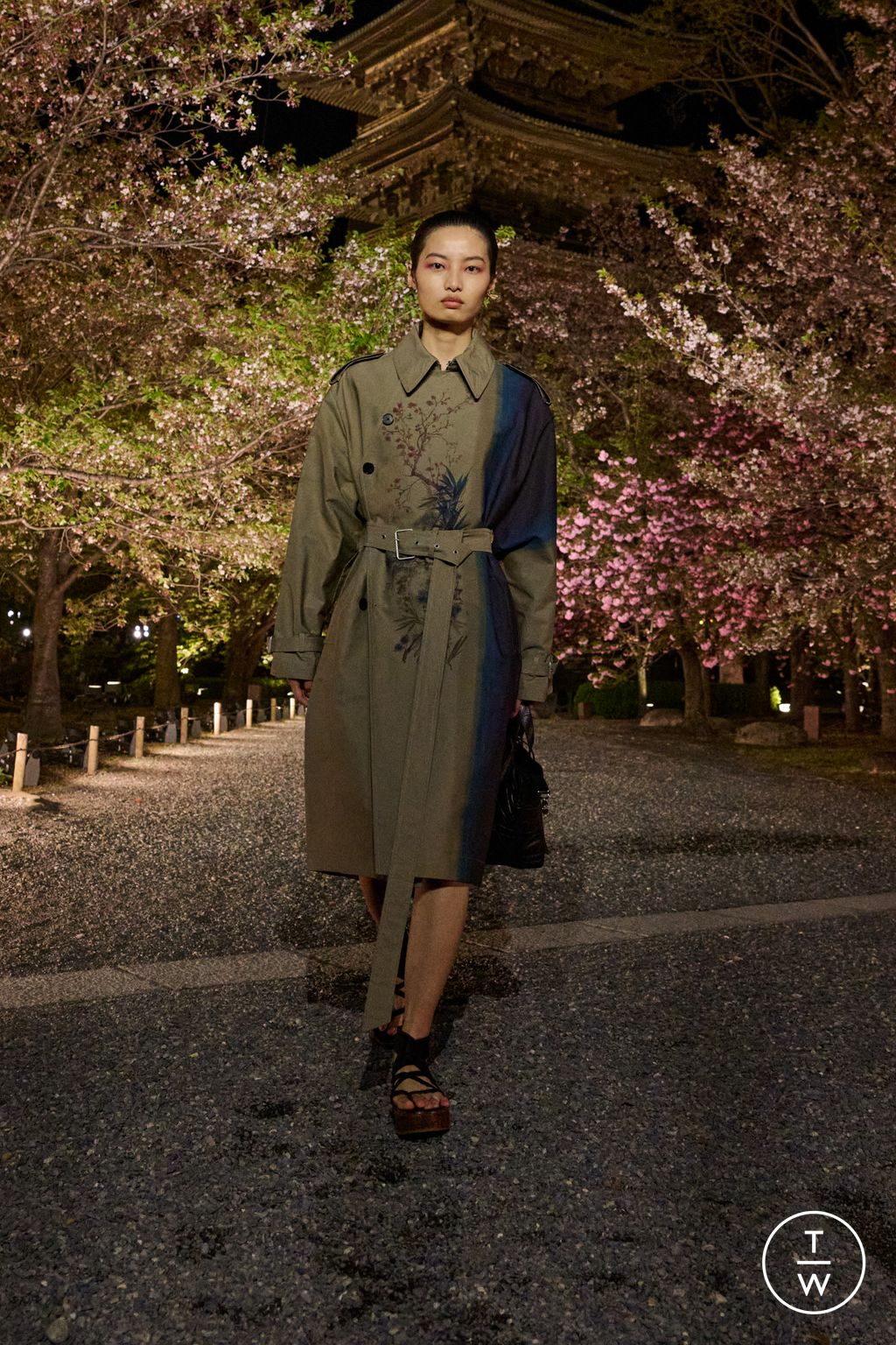 Fashion Week Paris Pre-Fall 2025 look 35 from the Dior collection 女装