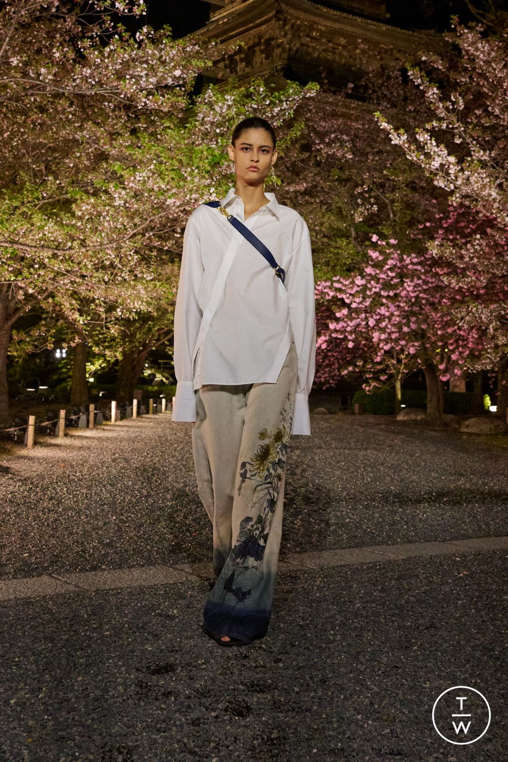 Fashion Week Paris Pre-Fall 2025 look 36 from the Dior collection womenswear