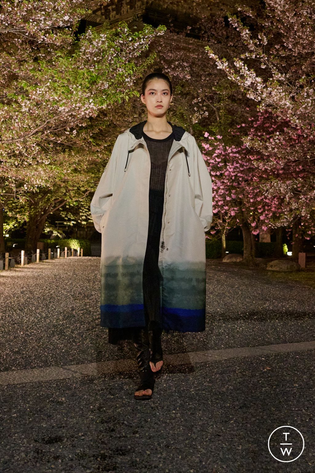 Fashion Week Paris Pre-Fall 2025 look 37 from the Dior collection womenswear