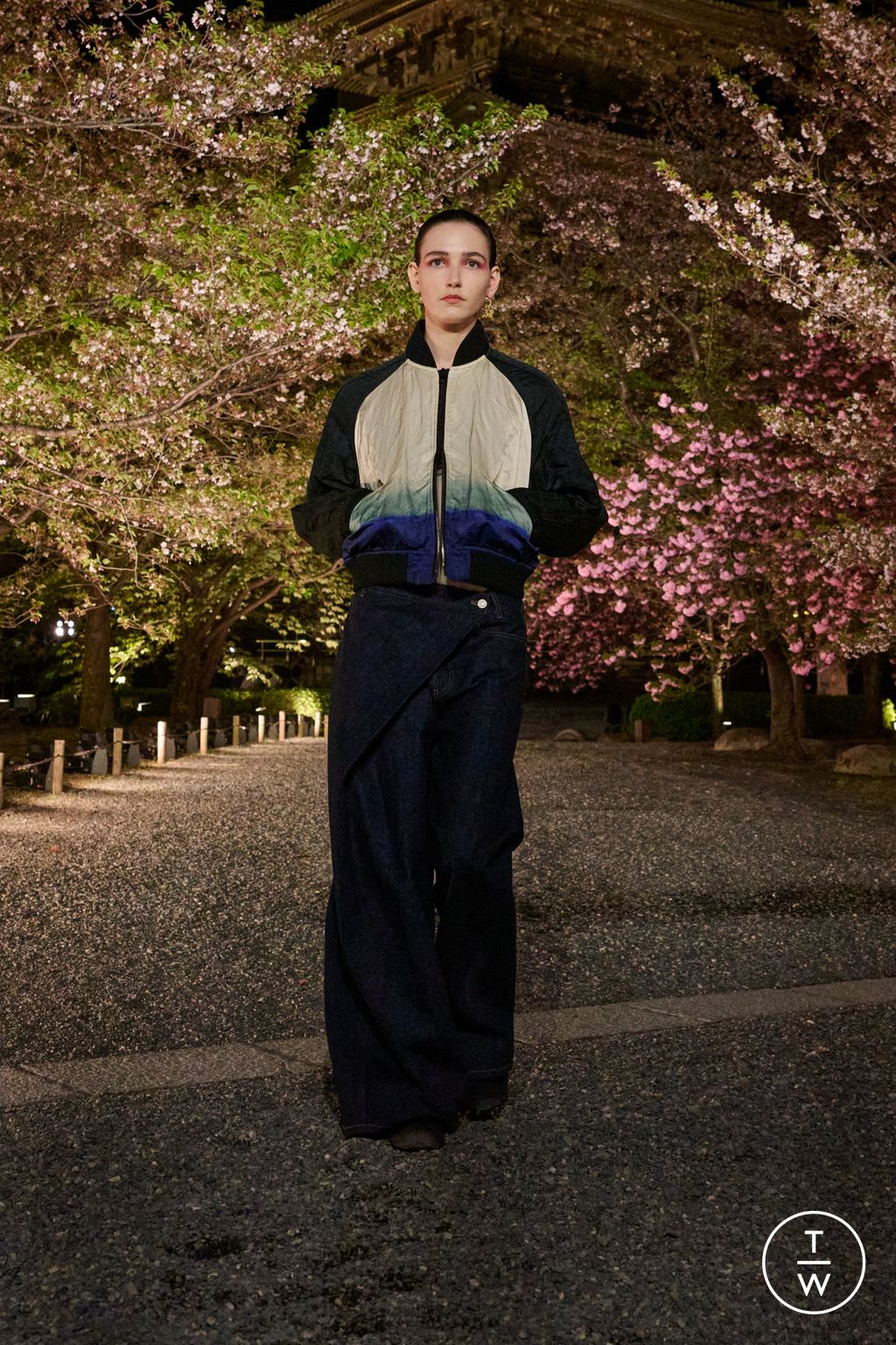 Fashion Week Paris Pre-Fall 2025 look 39 from the Dior collection womenswear