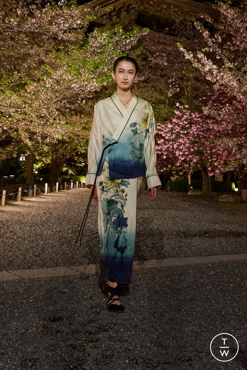 Fashion Week Paris Pre-Fall 2025 look 40 from the Dior collection womenswear