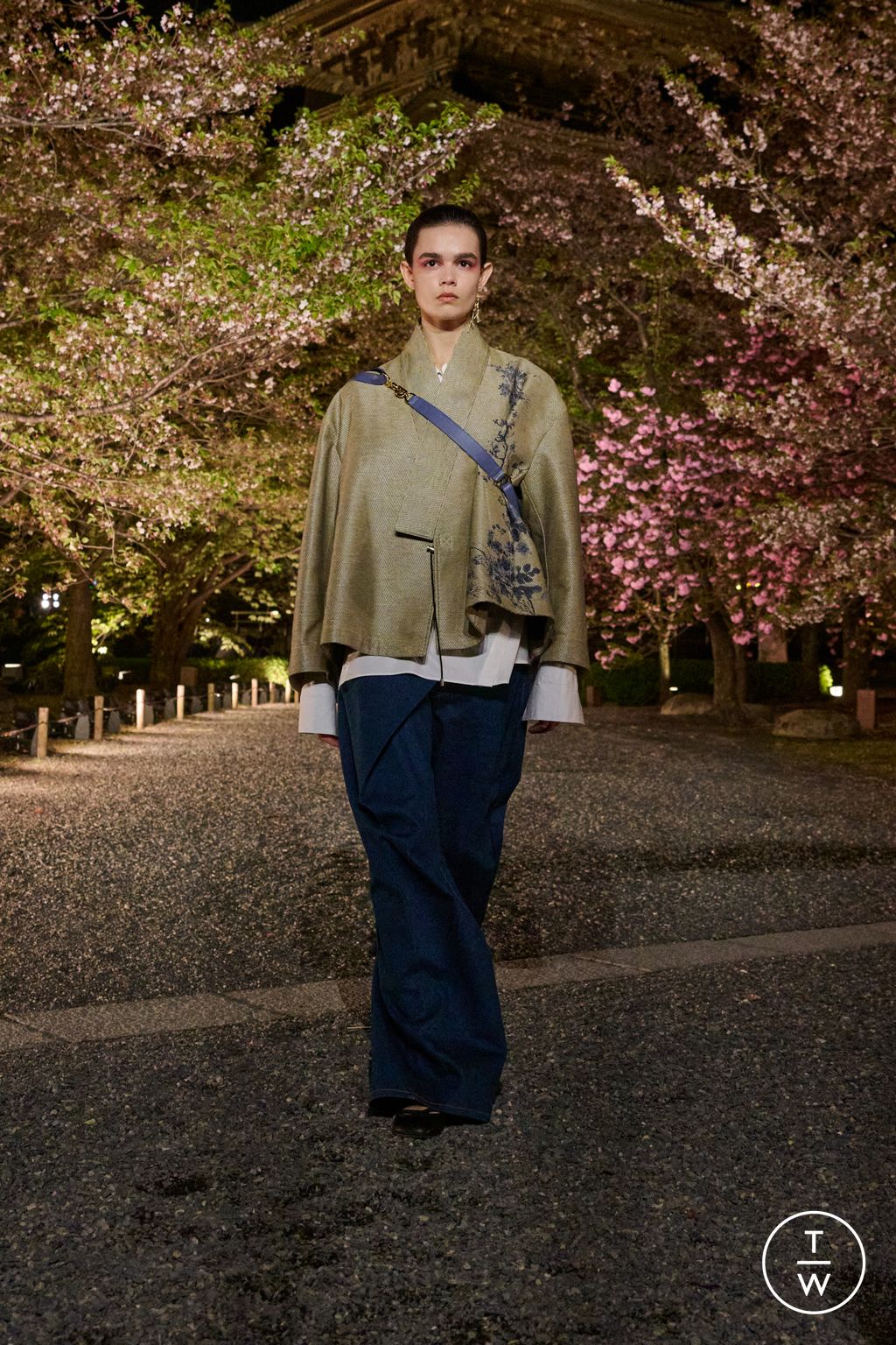 Fashion Week Paris Pre-Fall 2025 look 42 from the Dior collection womenswear