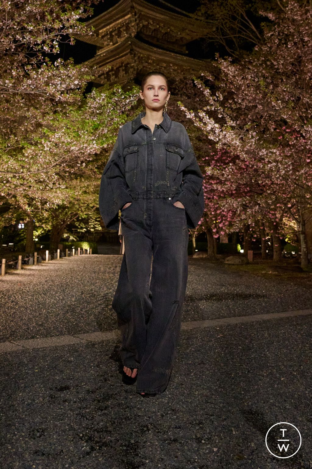Fashion Week Paris Pre-Fall 2025 look 45 from the Dior collection womenswear