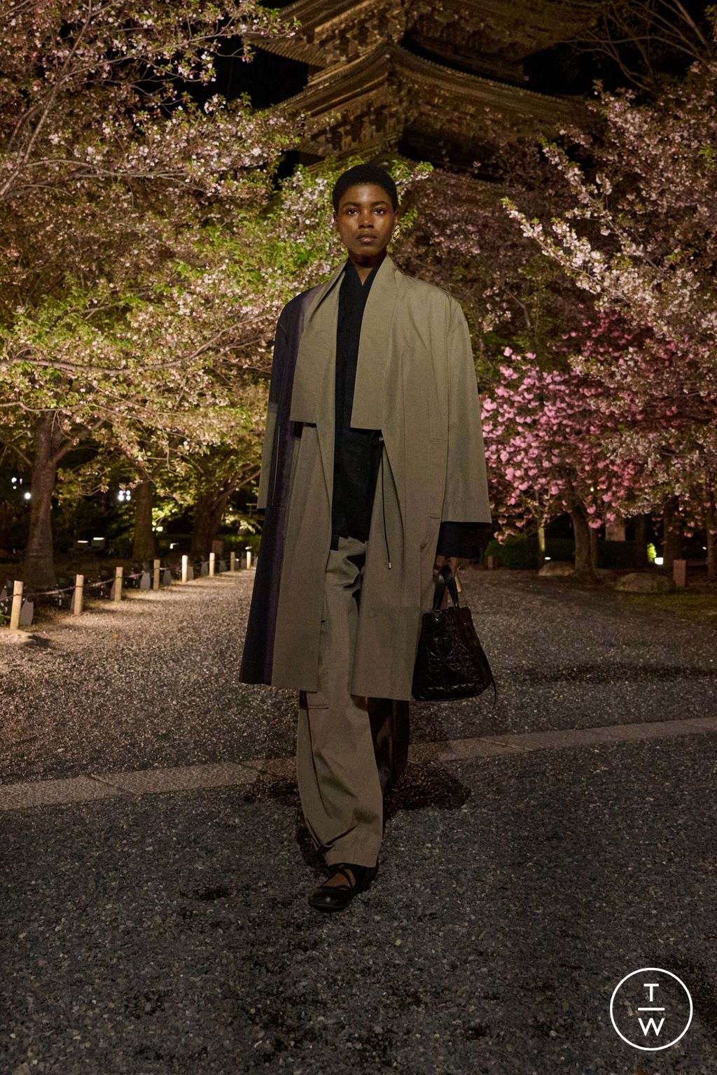 Fashion Week Paris Pre-Fall 2025 look 46 from the Dior collection womenswear