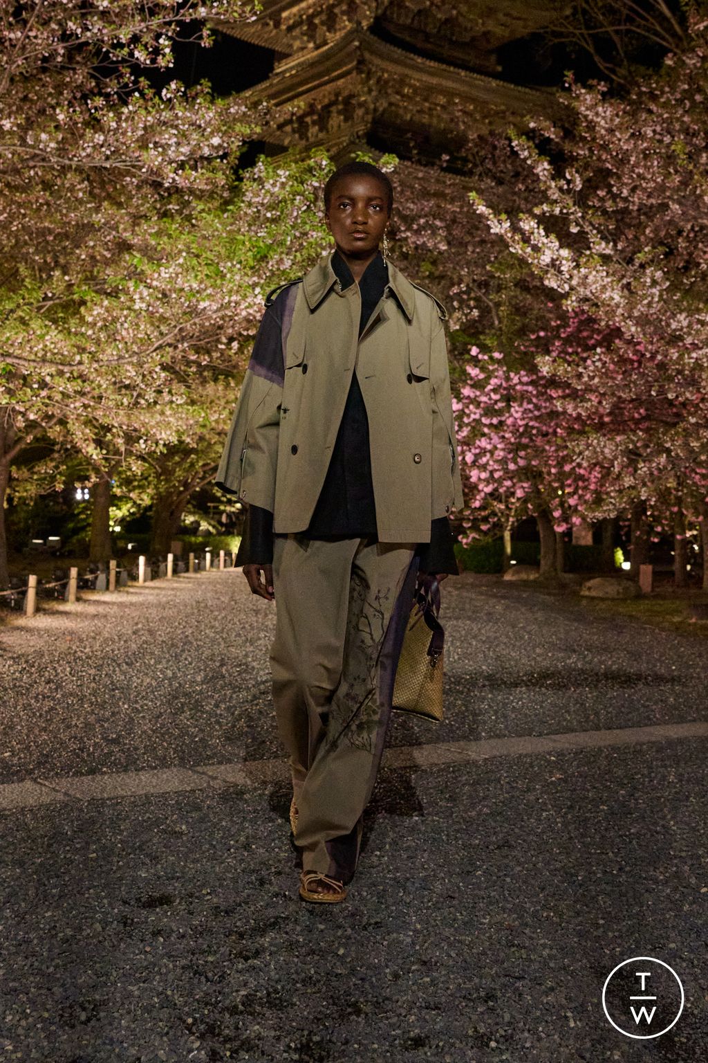 Fashion Week Paris Pre-Fall 2025 look 47 from the Dior collection womenswear