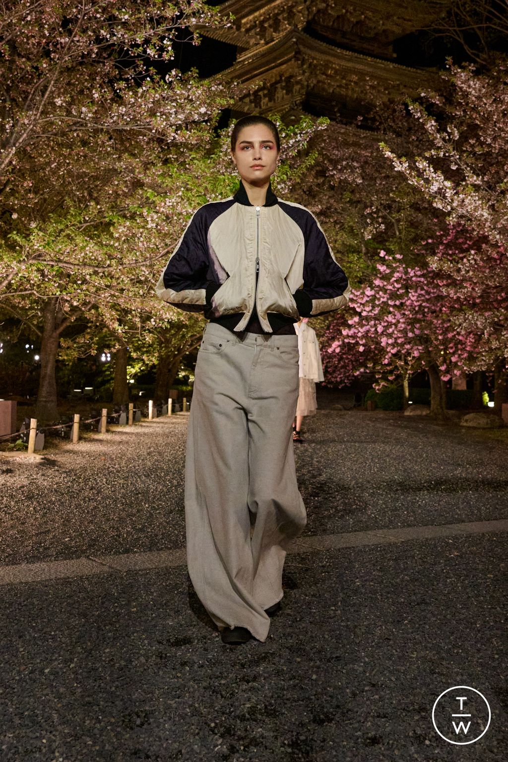 Fashion Week Paris Pre-Fall 2025 look 48 from the Dior collection 女装