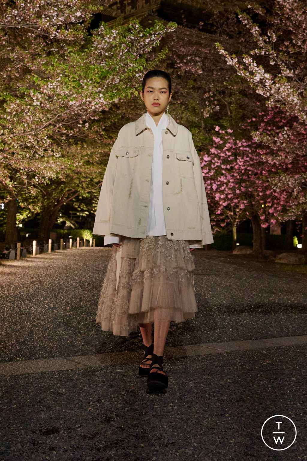 Fashion Week Paris Pre-Fall 2025 look 49 from the Dior collection womenswear