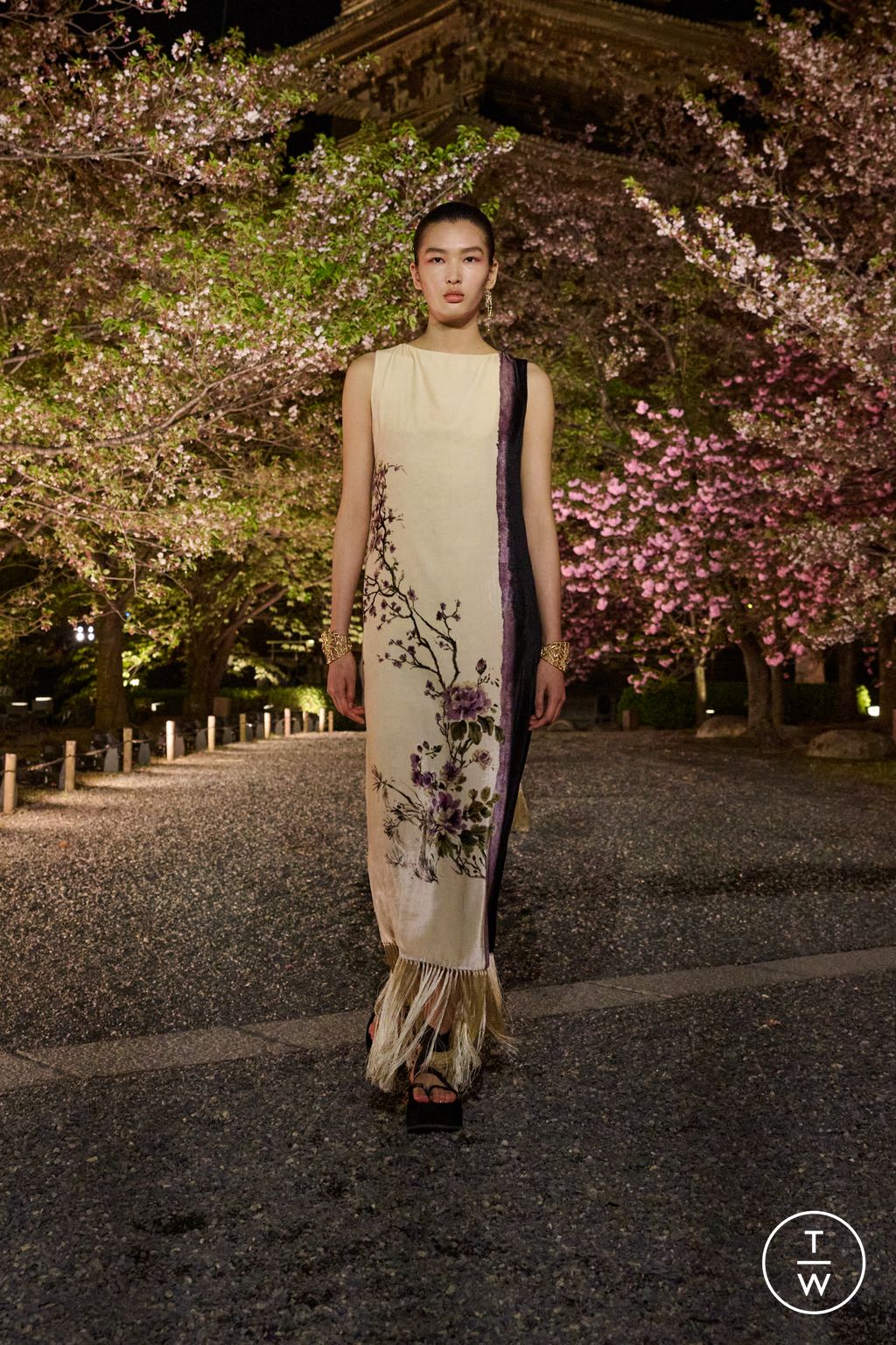 Fashion Week Paris Pre-Fall 2025 look 52 from the Dior collection womenswear