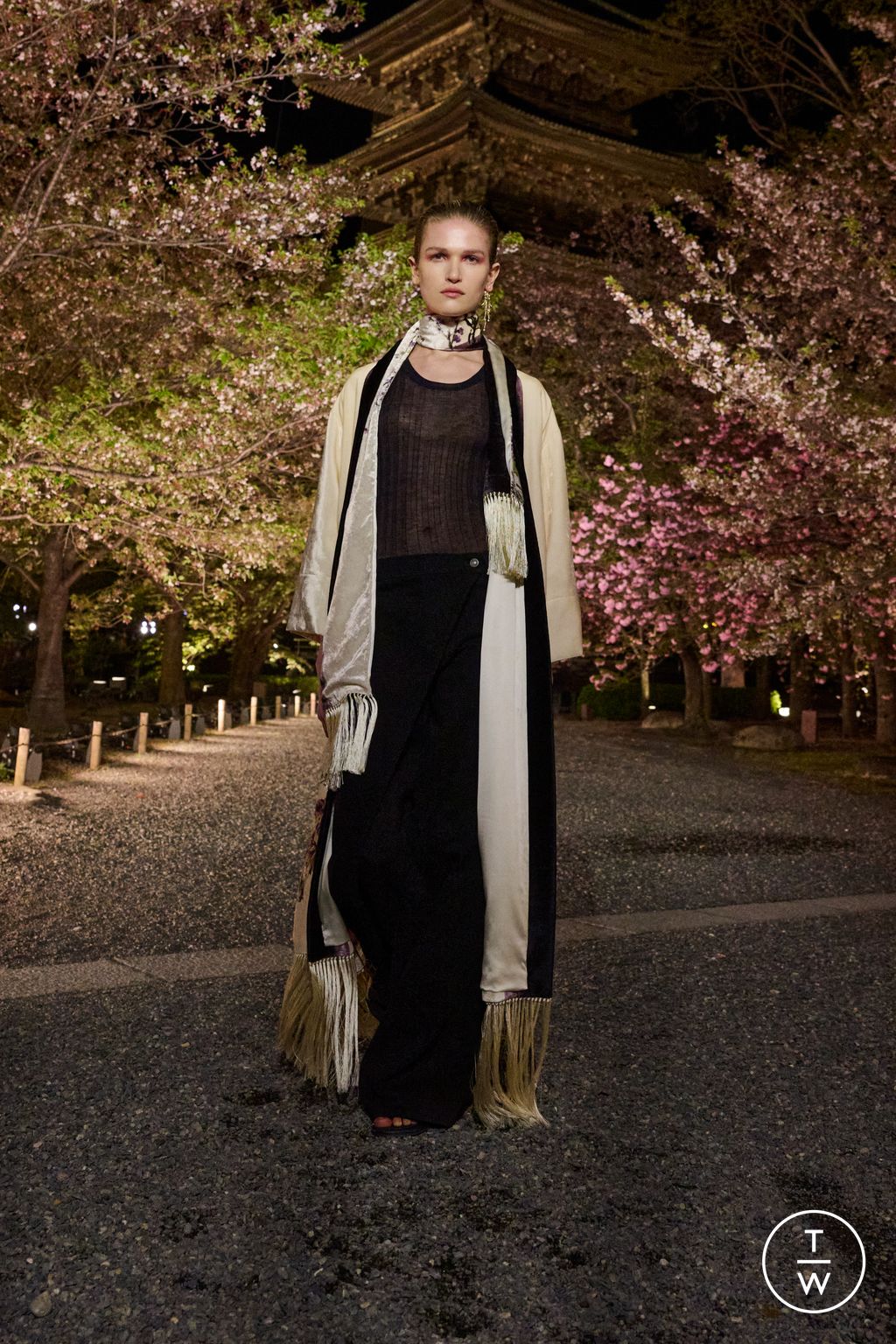 Fashion Week Paris Pre-Fall 2025 look 53 from the Dior collection 女装