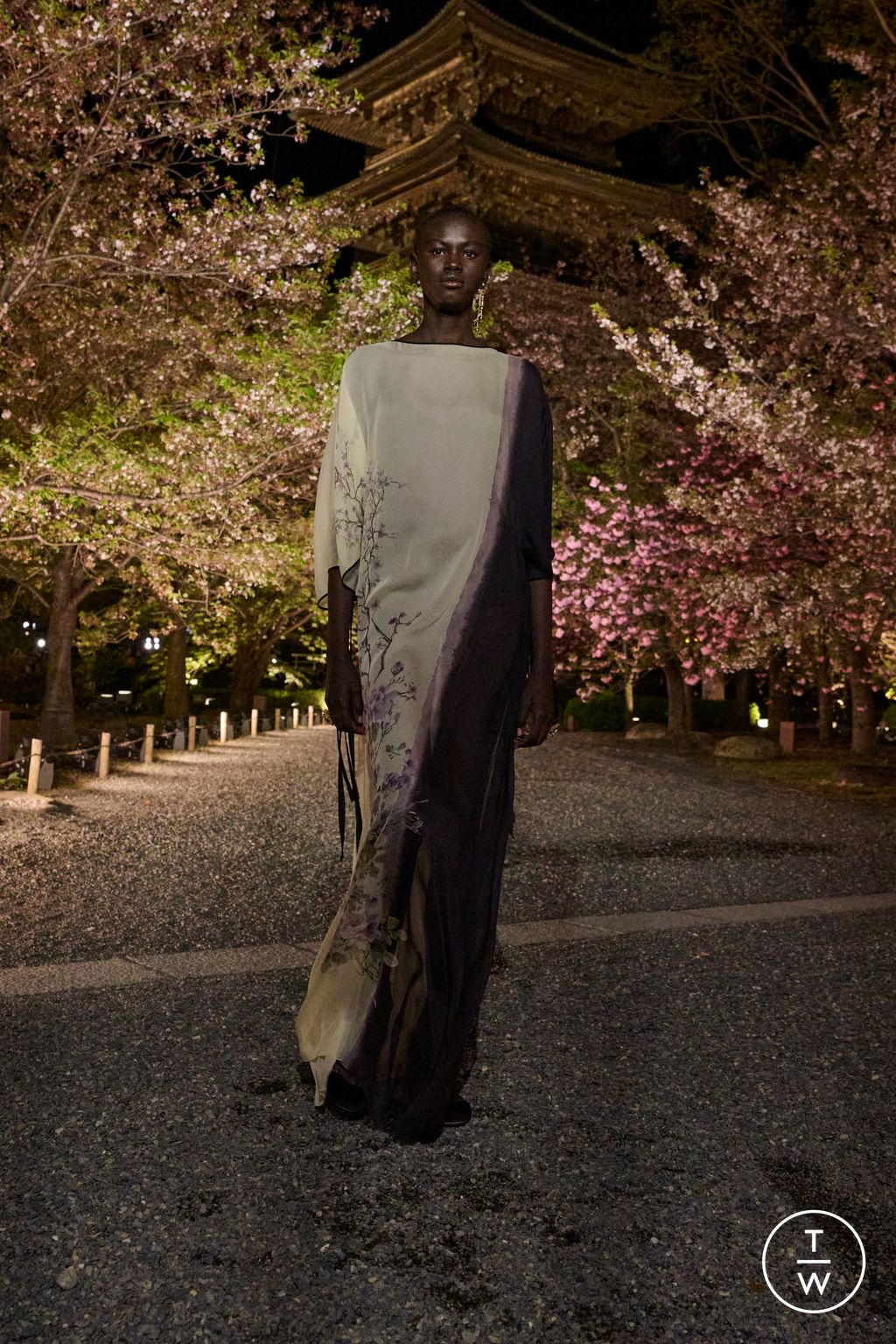 Fashion Week Paris Pre-Fall 2025 look 54 from the Dior collection womenswear