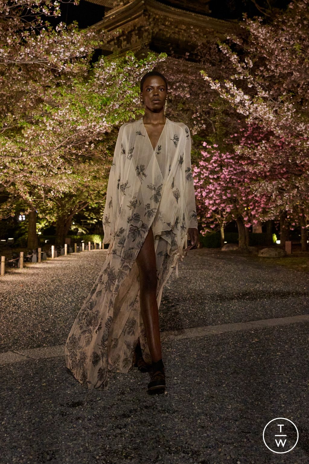 Fashion Week Paris Pre-Fall 2025 look 59 from the Dior collection womenswear