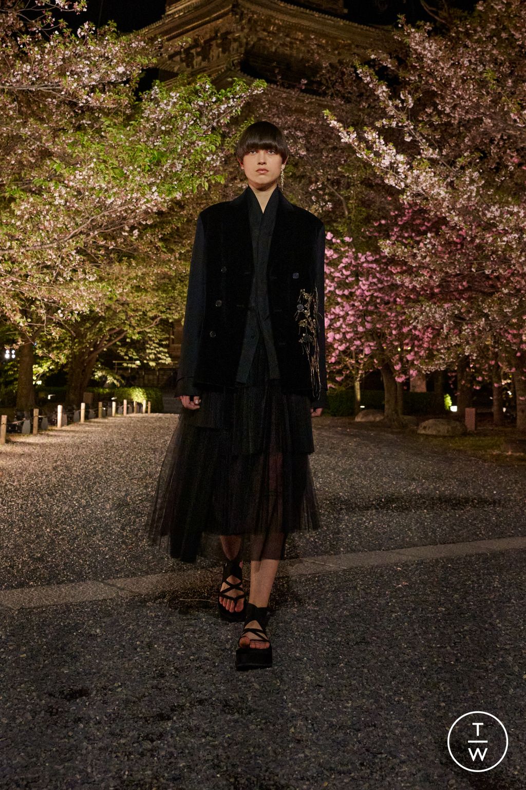 Fashion Week Paris Pre-Fall 2025 look 61 from the Dior collection womenswear