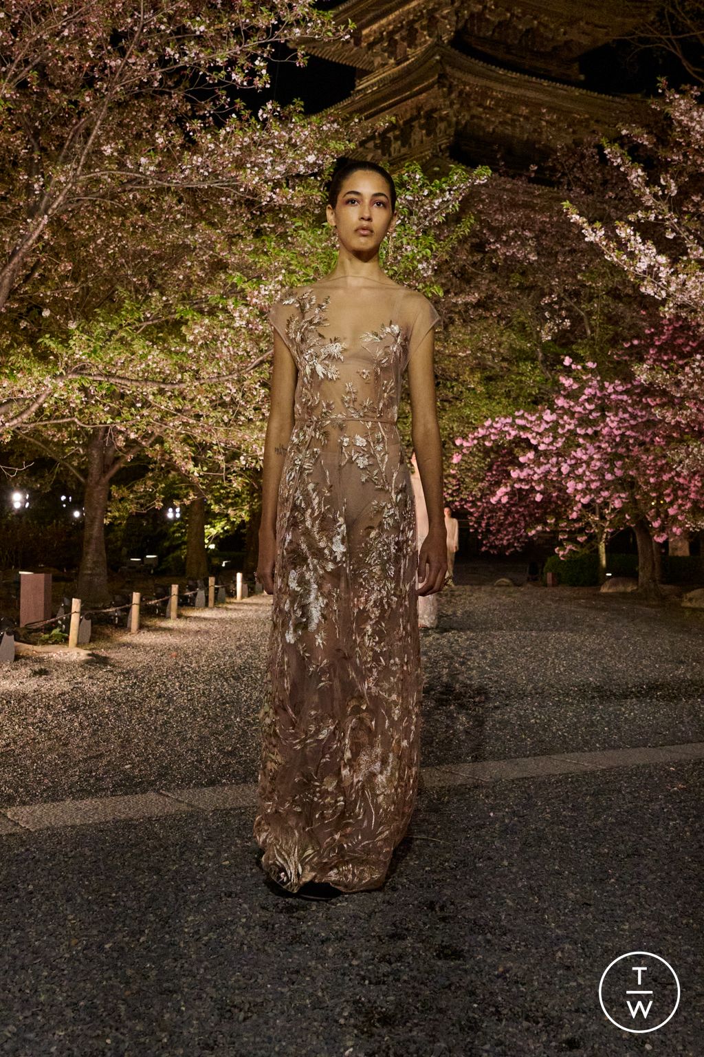 Fashion Week Paris Pre-Fall 2025 look 68 from the Dior collection womenswear