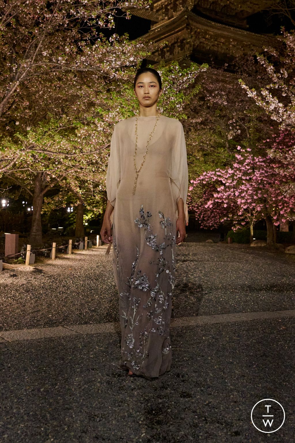 Fashion Week Paris Pre-Fall 2025 look 69 from the Dior collection womenswear