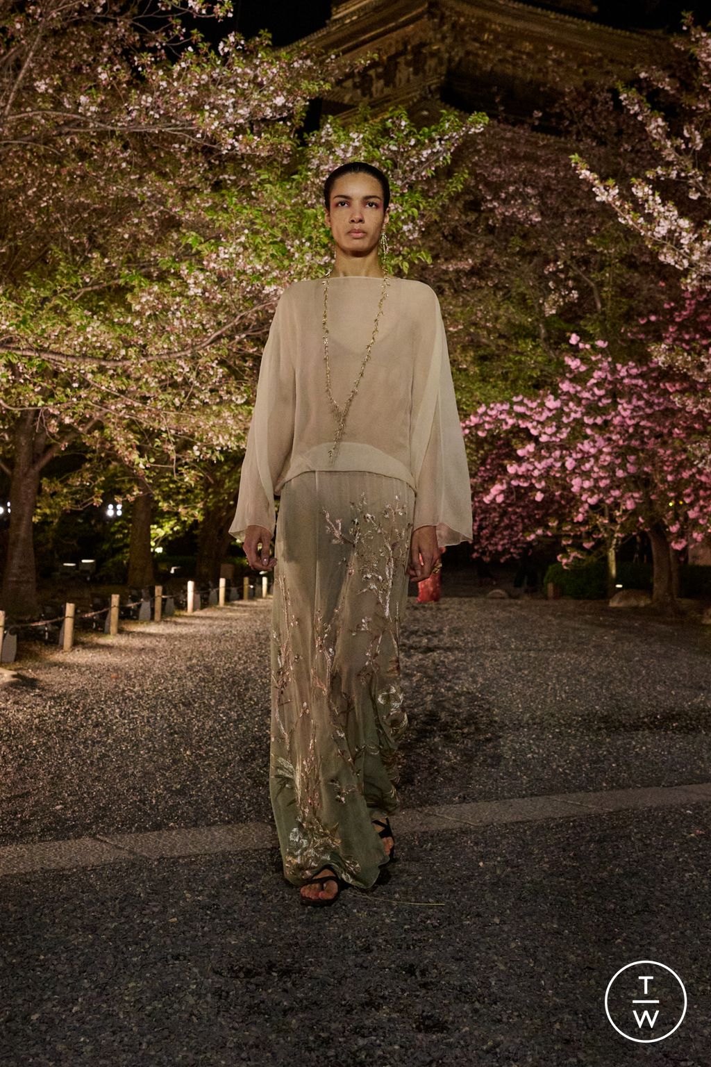 Fashion Week Paris Pre-Fall 2025 look 70 from the Dior collection 女装