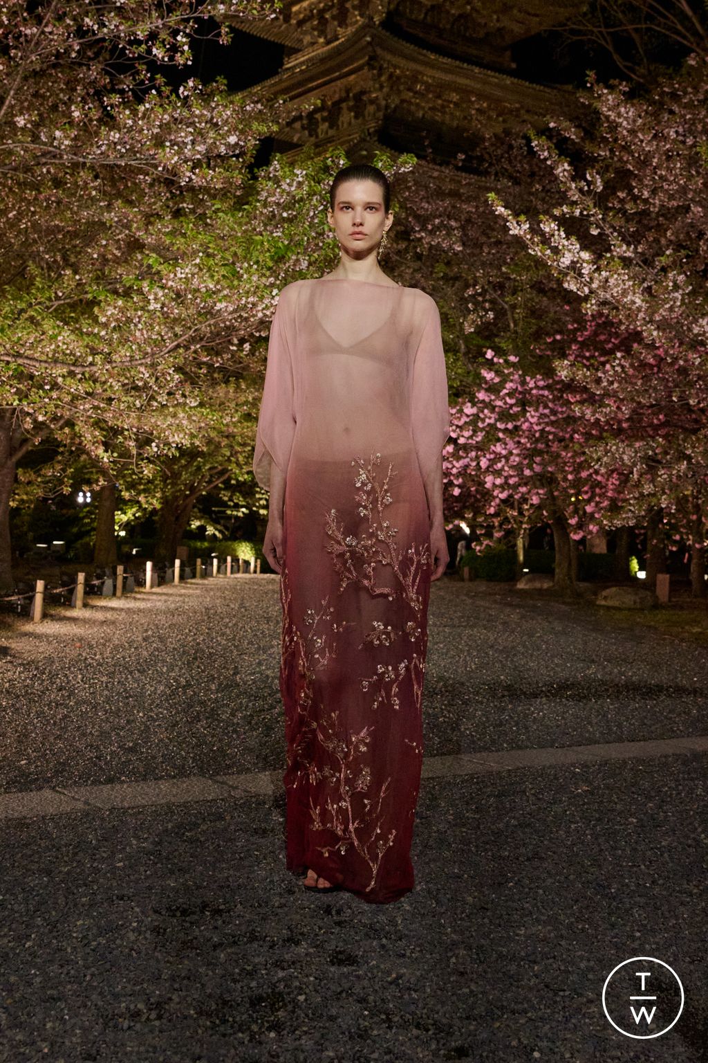 Fashion Week Paris Pre-Fall 2025 look 71 from the Dior collection womenswear