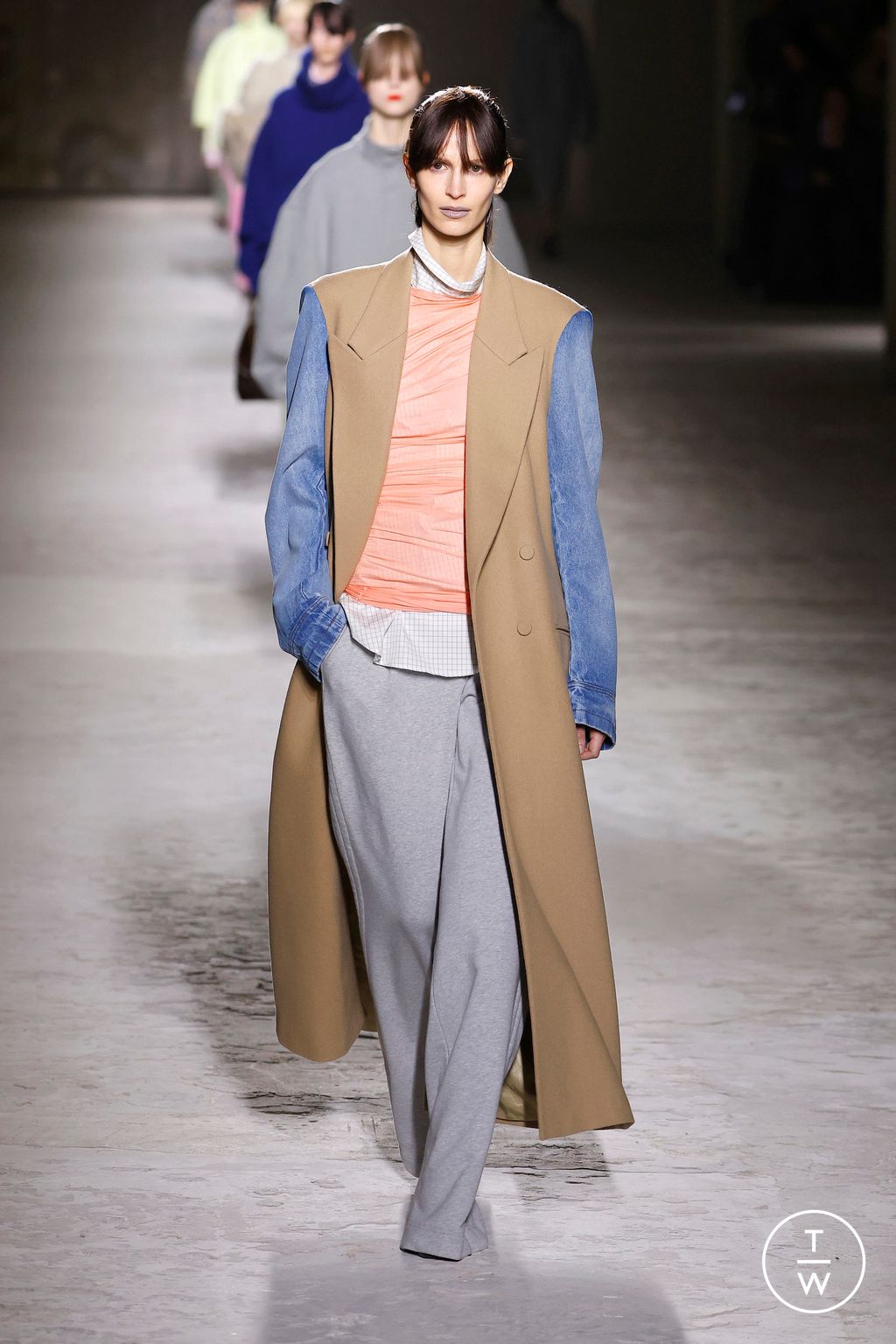 Fashion Week Paris Fall/Winter 2024 look 12 from the Dries Van Noten collection 女装