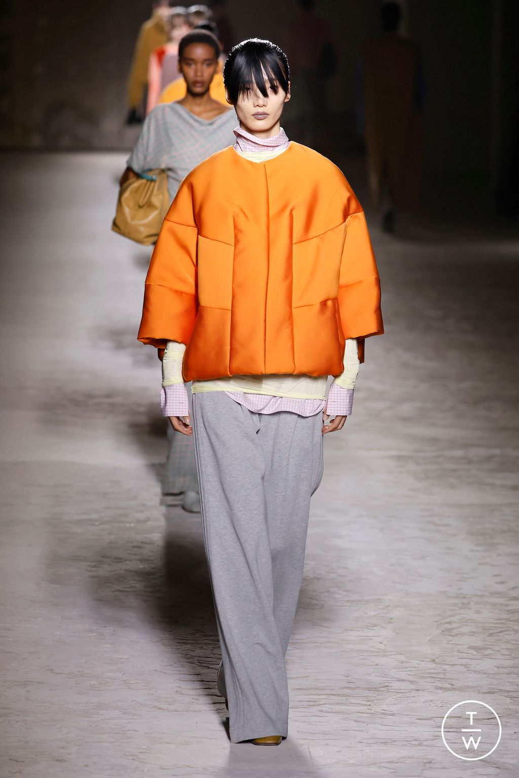 Fashion Week Paris Fall/Winter 2024 look 20 from the Dries Van Noten collection womenswear