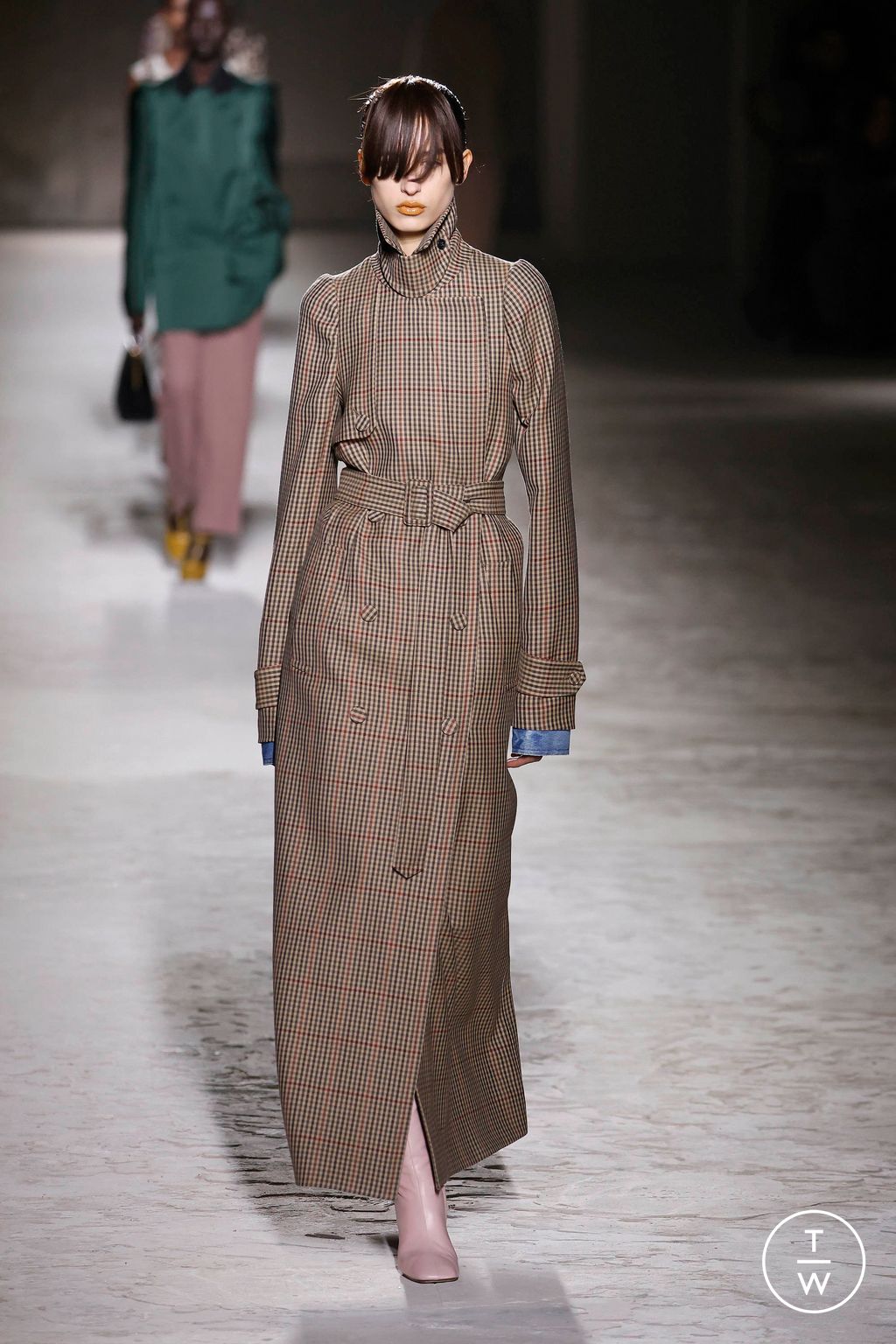 Fashion Week Paris Fall/Winter 2024 look 30 from the Dries Van Noten collection womenswear