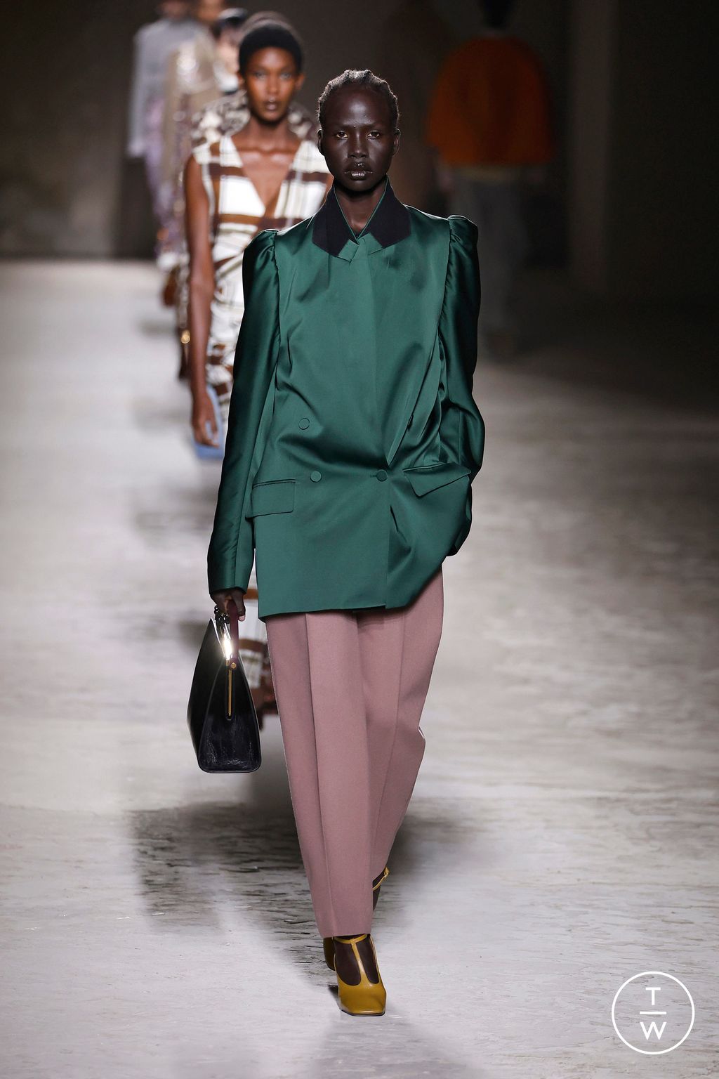 Fashion Week Paris Fall/Winter 2024 look 31 from the Dries Van Noten collection womenswear