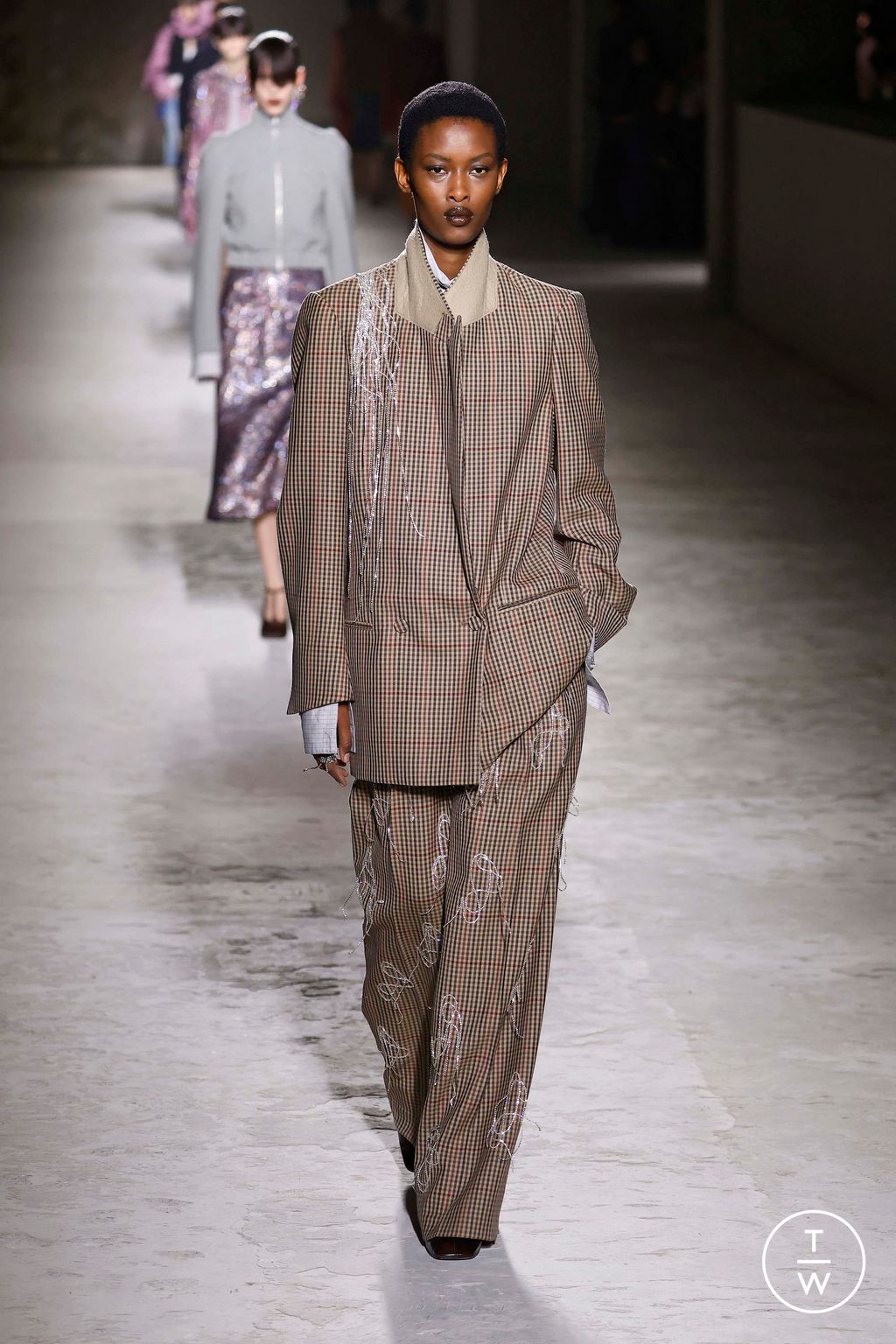 Fashion Week Paris Fall/Winter 2024 look 35 from the Dries Van Noten collection 女装