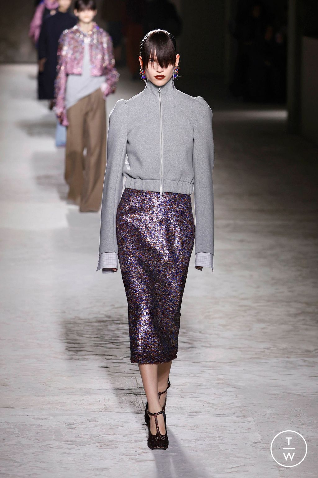 Fashion Week Paris Fall/Winter 2024 look 36 from the Dries Van Noten collection womenswear
