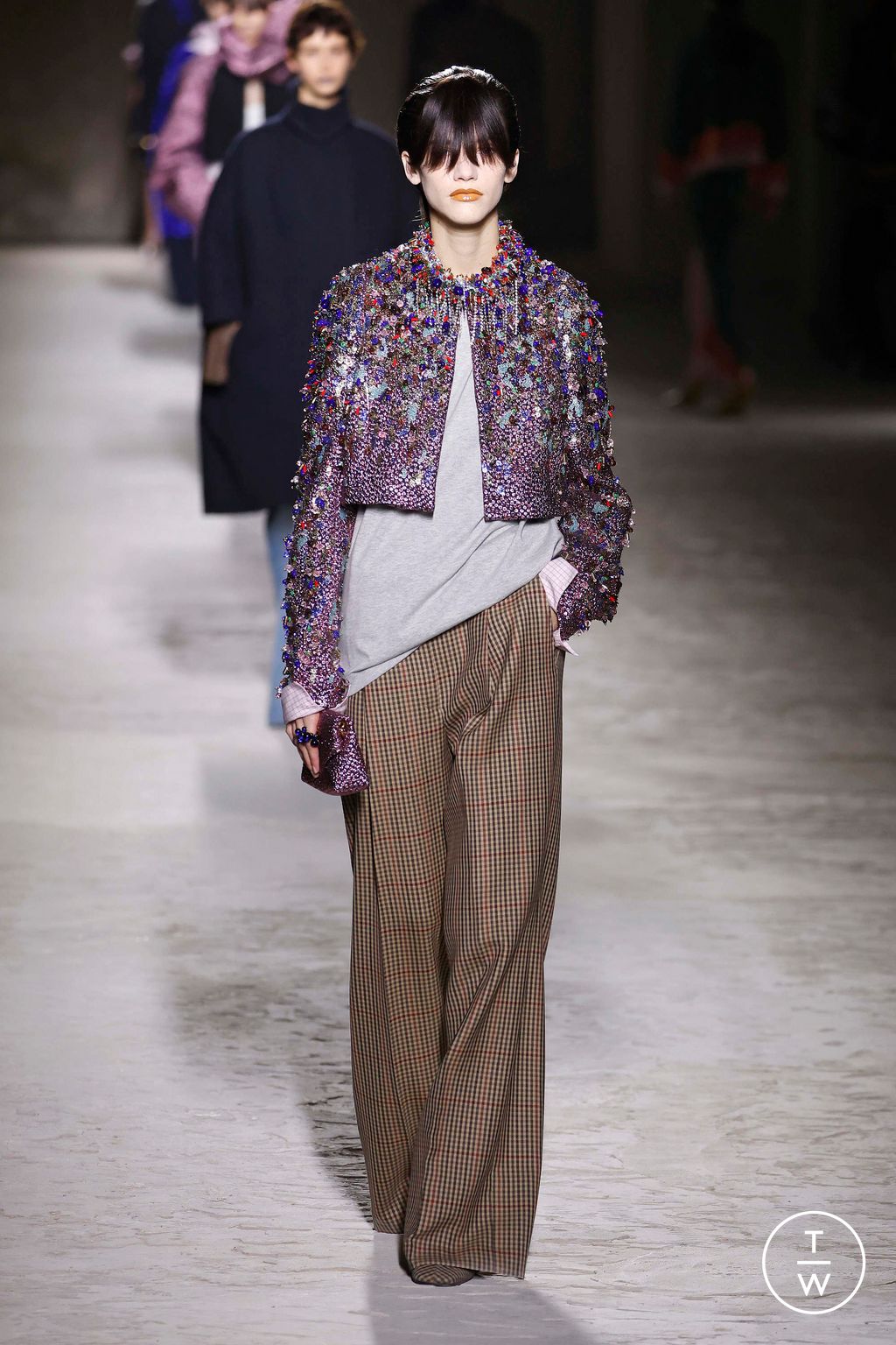 Fashion Week Paris Fall/Winter 2024 look 37 de la collection Dries Van Noten womenswear