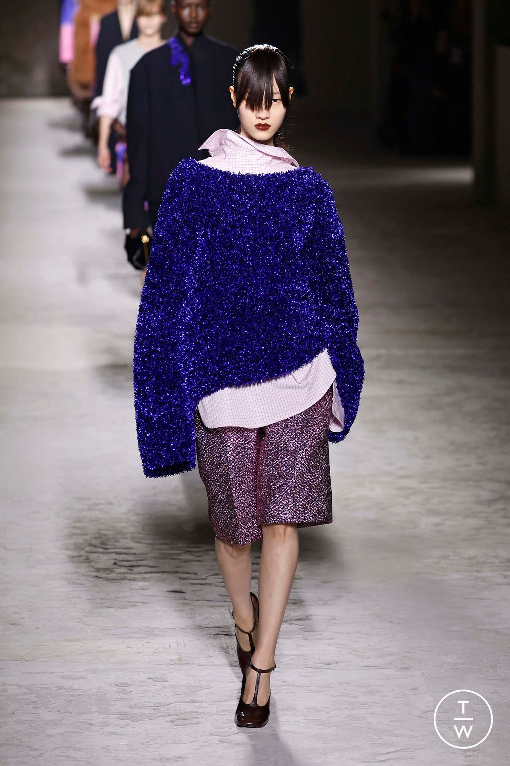 Fashion Week Paris Fall/Winter 2024 look 40 from the Dries Van Noten collection womenswear