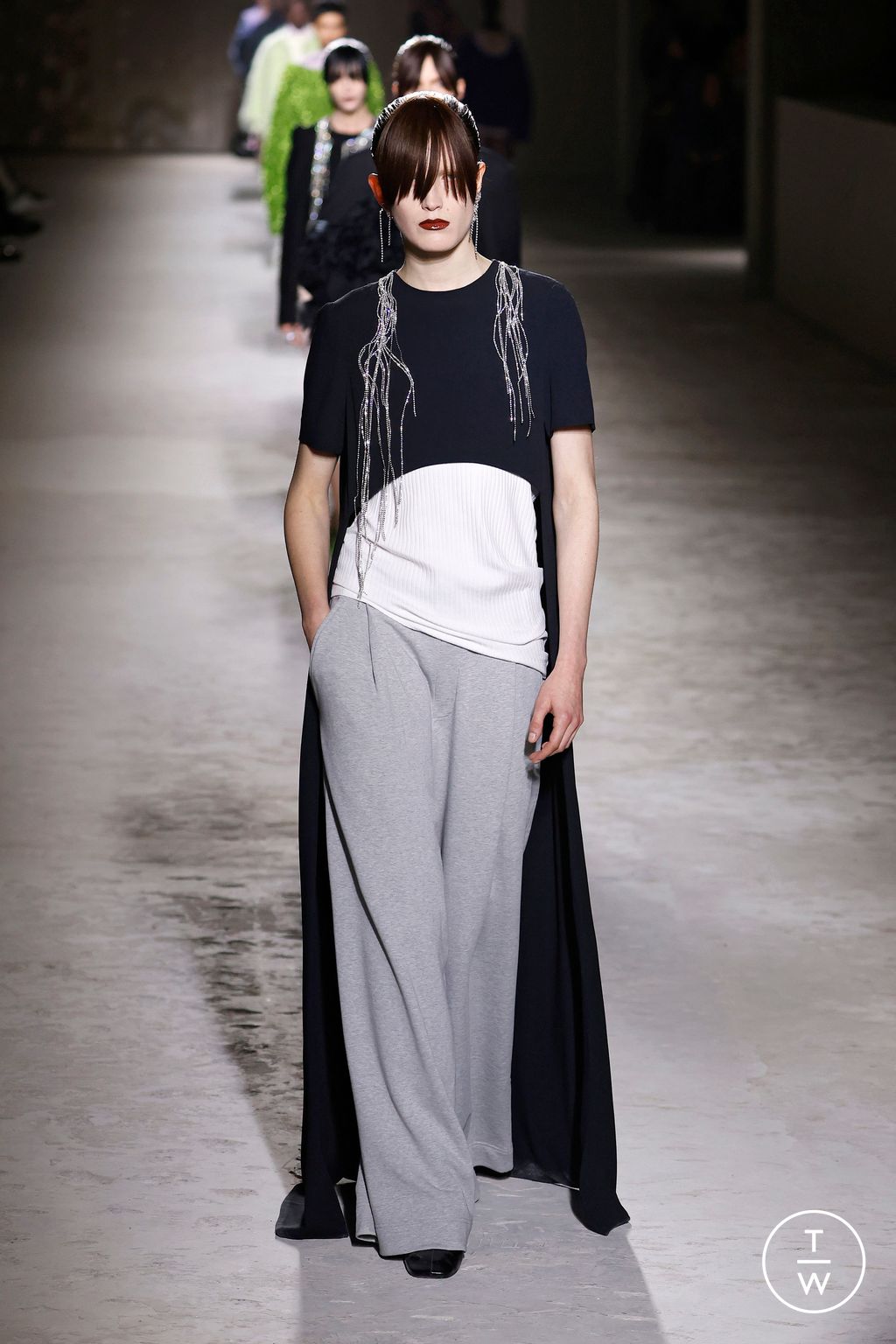 Fashion Week Paris Fall/Winter 2024 look 51 from the Dries Van Noten collection 女装
