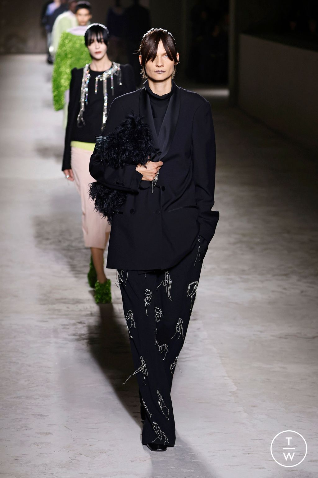 Fashion Week Paris Fall/Winter 2024 look 52 from the Dries Van Noten collection womenswear