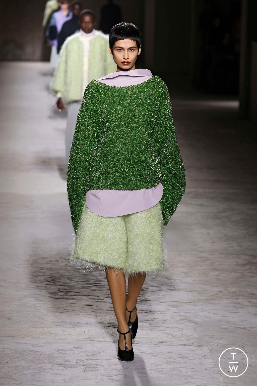 Fashion Week Paris Fall/Winter 2024 look 54 from the Dries Van Noten collection womenswear