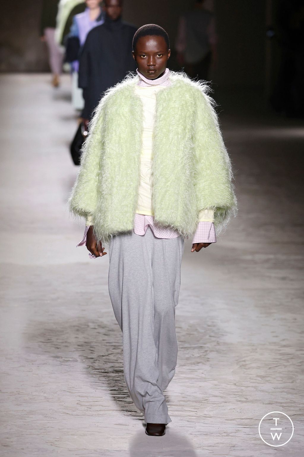 Fashion Week Paris Fall/Winter 2024 look 55 from the Dries Van Noten collection 女装