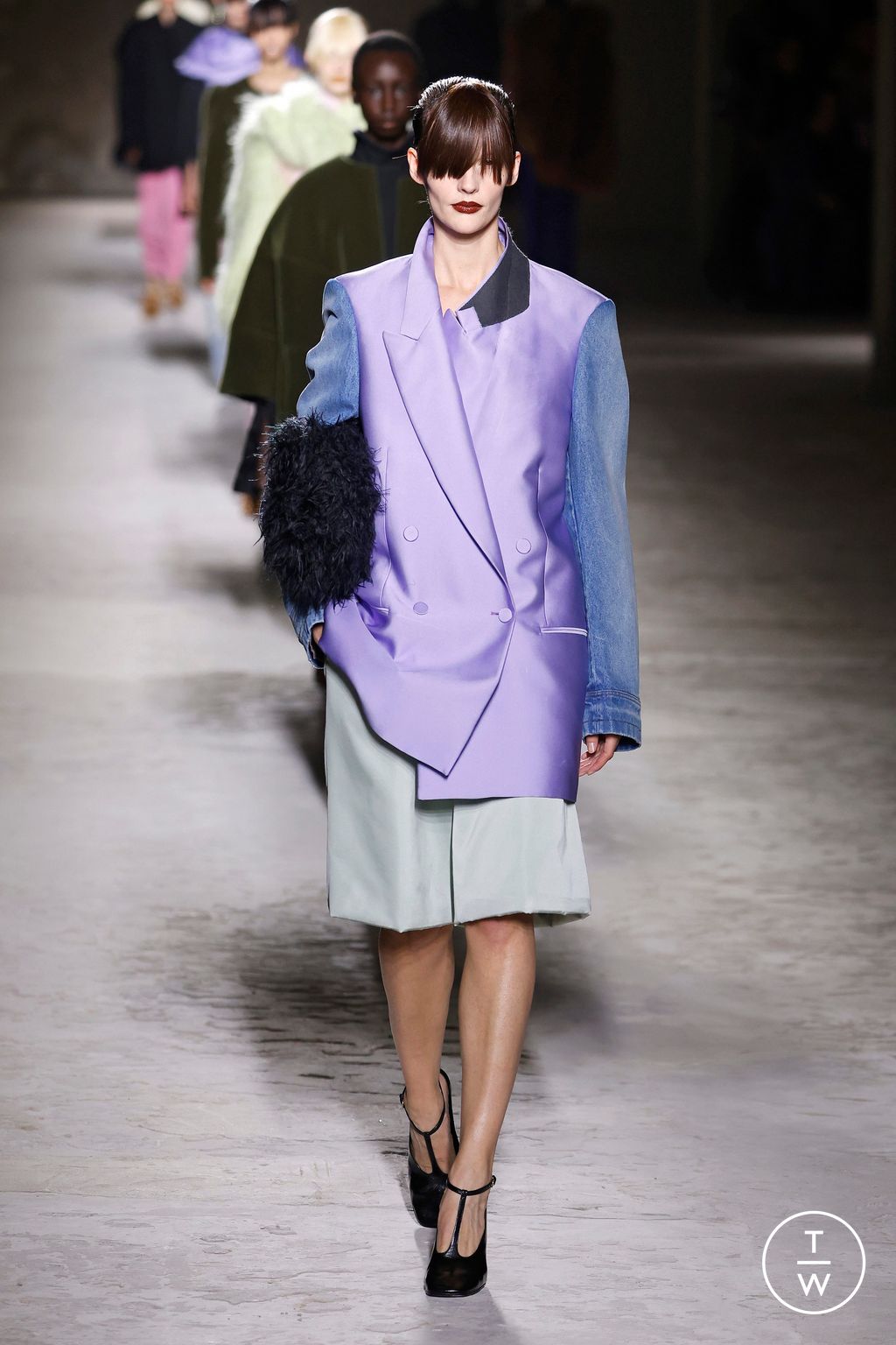 Fashion Week Paris Fall/Winter 2024 look 57 from the Dries Van Noten collection womenswear