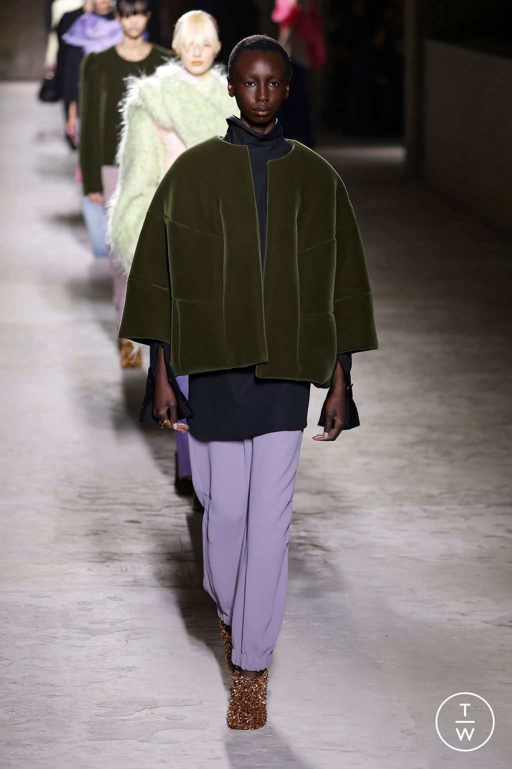 Fashion Week Paris Fall/Winter 2024 look 58 from the Dries Van Noten collection 女装