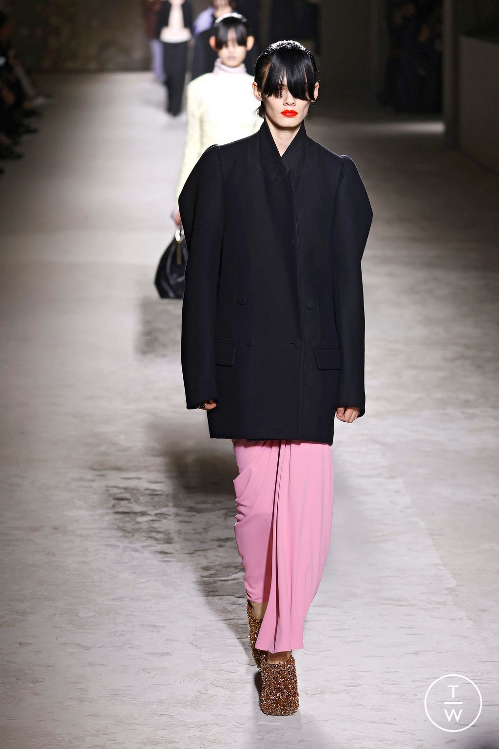 Fashion Week Paris Fall/Winter 2024 look 62 from the Dries Van Noten collection womenswear