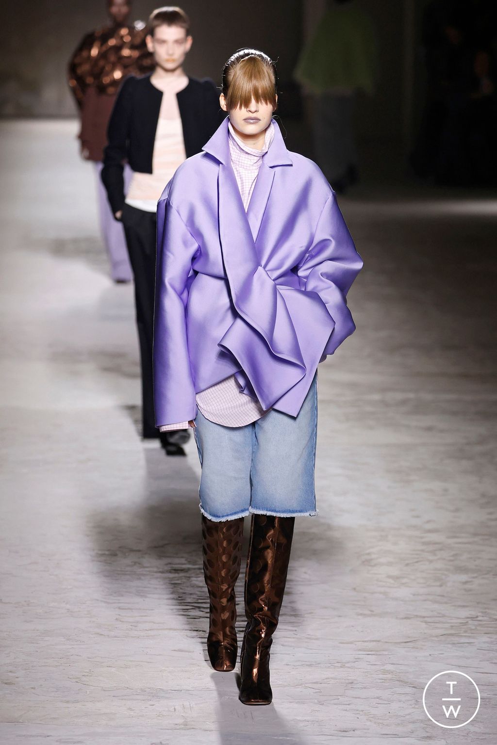 Fashion Week Paris Fall/Winter 2024 look 65 from the Dries Van Noten collection womenswear