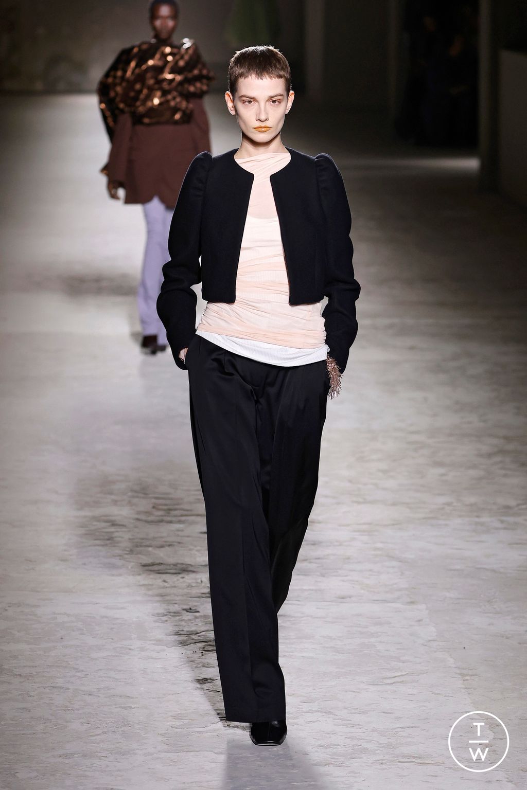Fashion Week Paris Fall/Winter 2024 look 66 from the Dries Van Noten collection womenswear