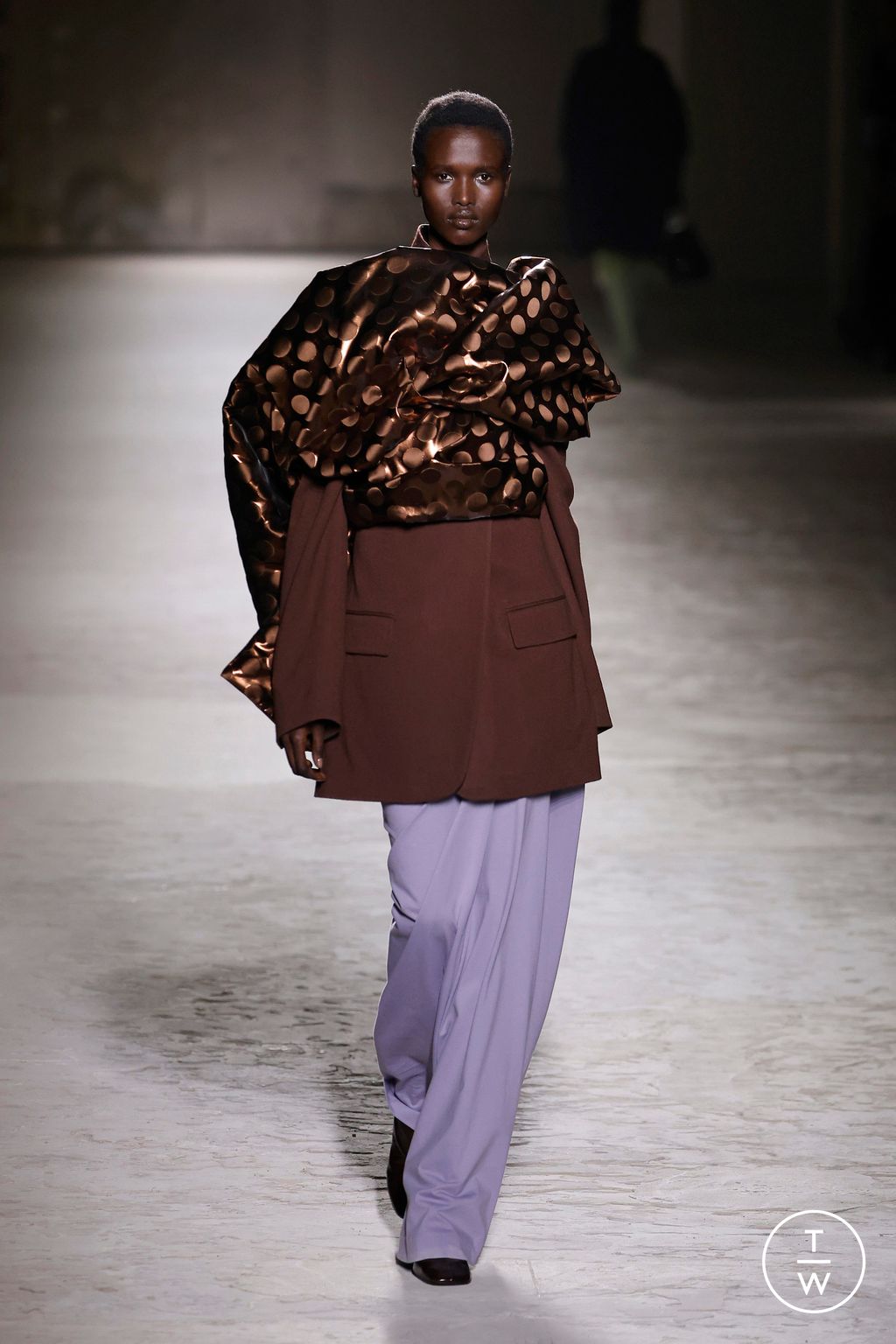 Fashion Week Paris Fall/Winter 2024 look 67 from the Dries Van Noten collection womenswear