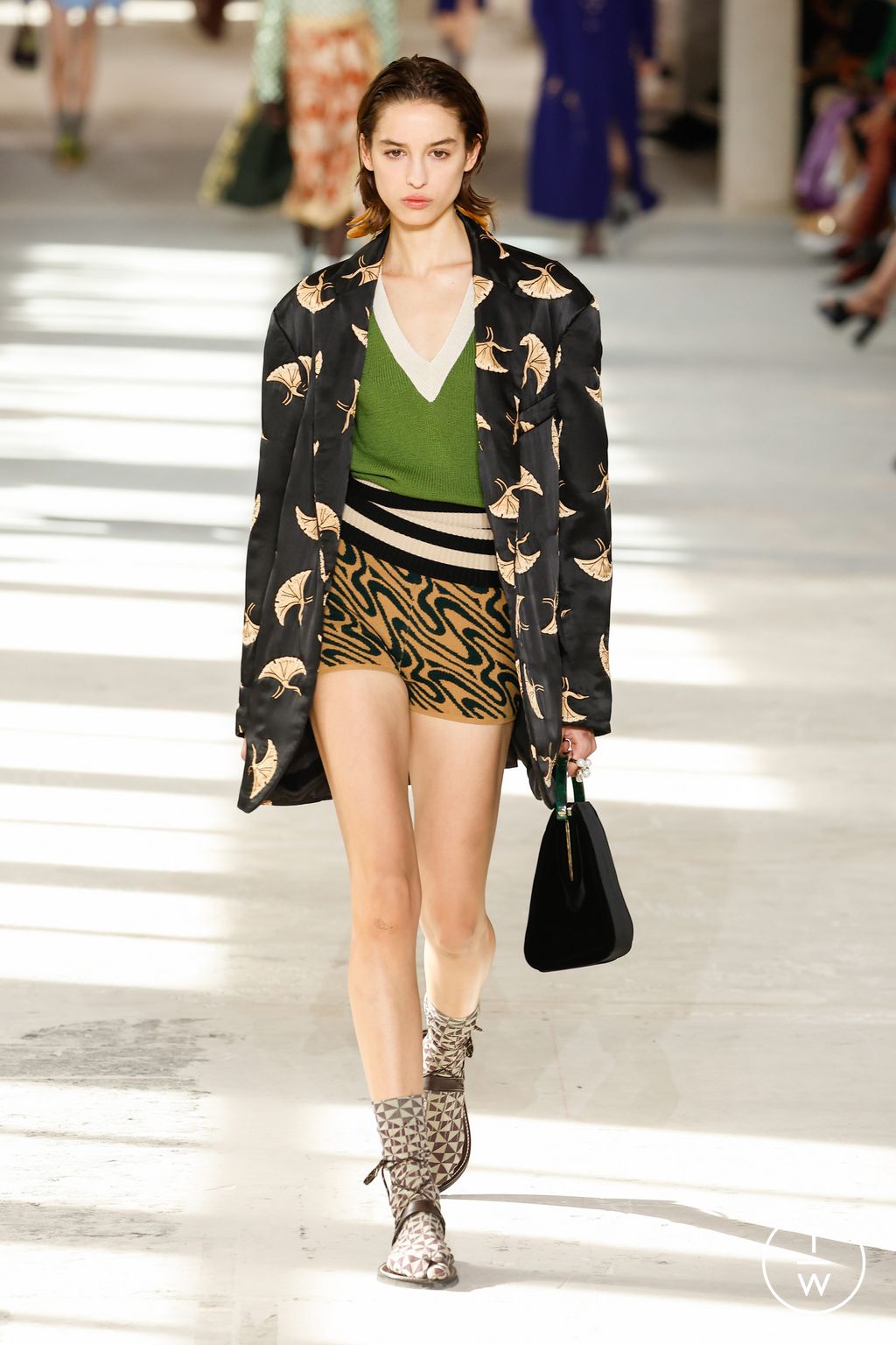 Fashion Week Paris Spring/Summer 2024 look 42 from the Dries Van Noten collection 女装