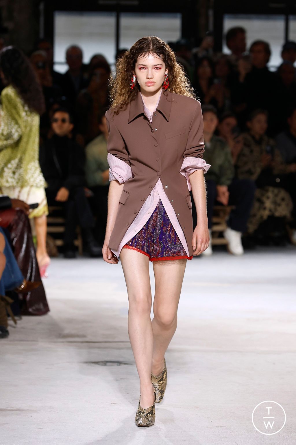 Fashion Week Paris Spring/Summer 2025 look 14 from the Dries Van Noten collection womenswear